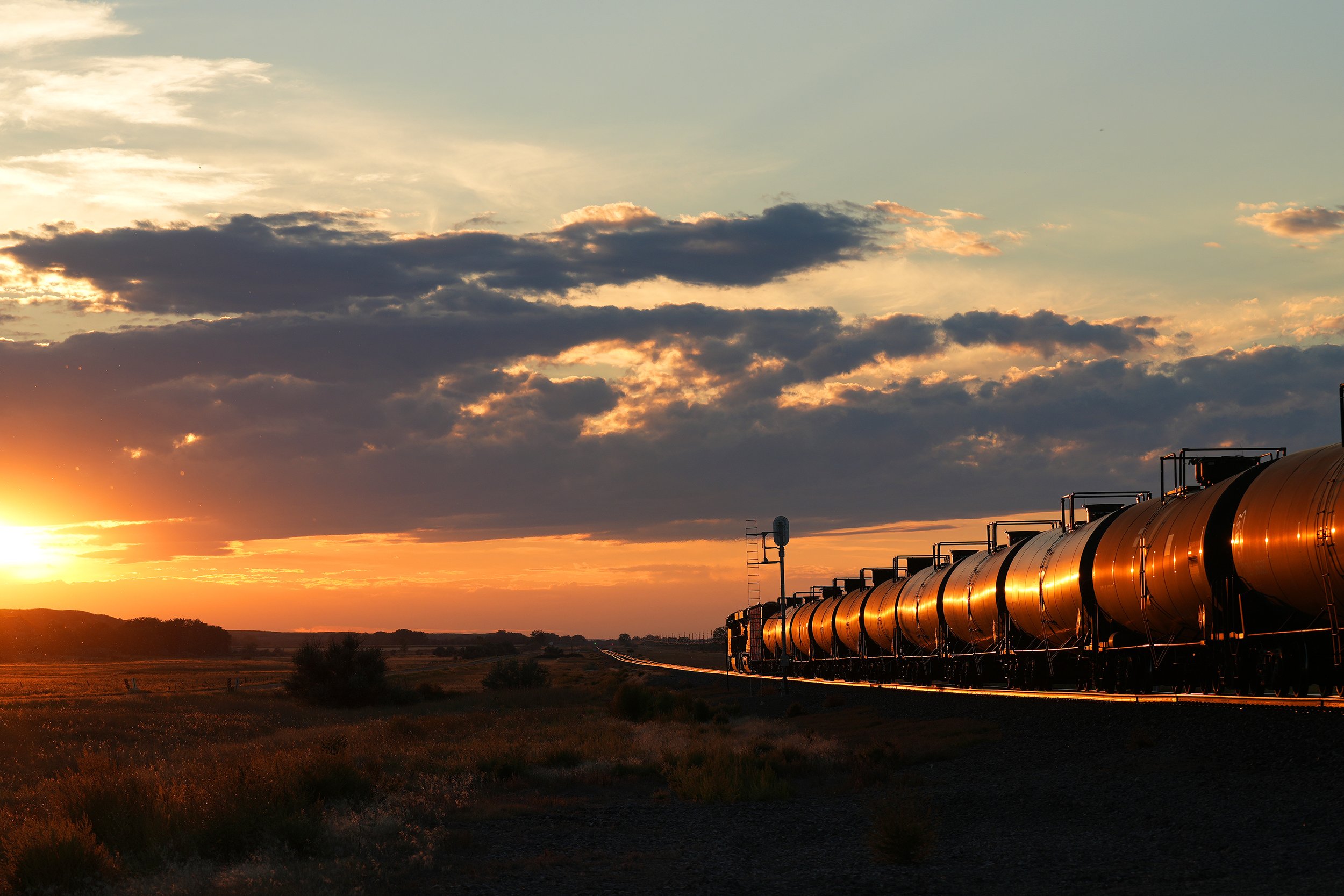 BNSF7894_finch_090723a.jpg
