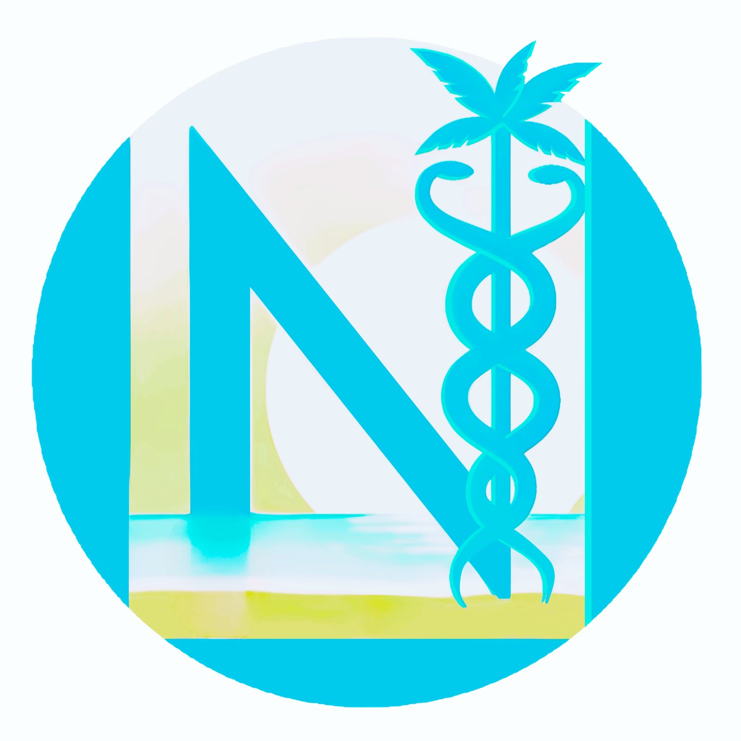 Nader Palm Beach Psychiatry 