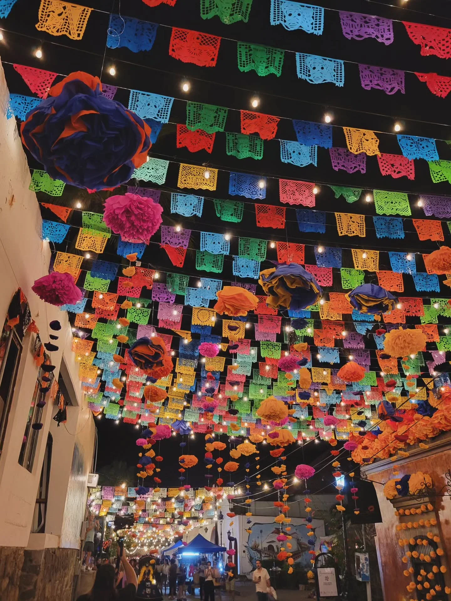 We have a rare opening at the end of October and over Dia de los Muertos! 💀 

It's an incredibly special time to be in Mexico, especially Baja. On the evening of November 1st, there is a traditional celebration in downtown Todos Santos with live mus