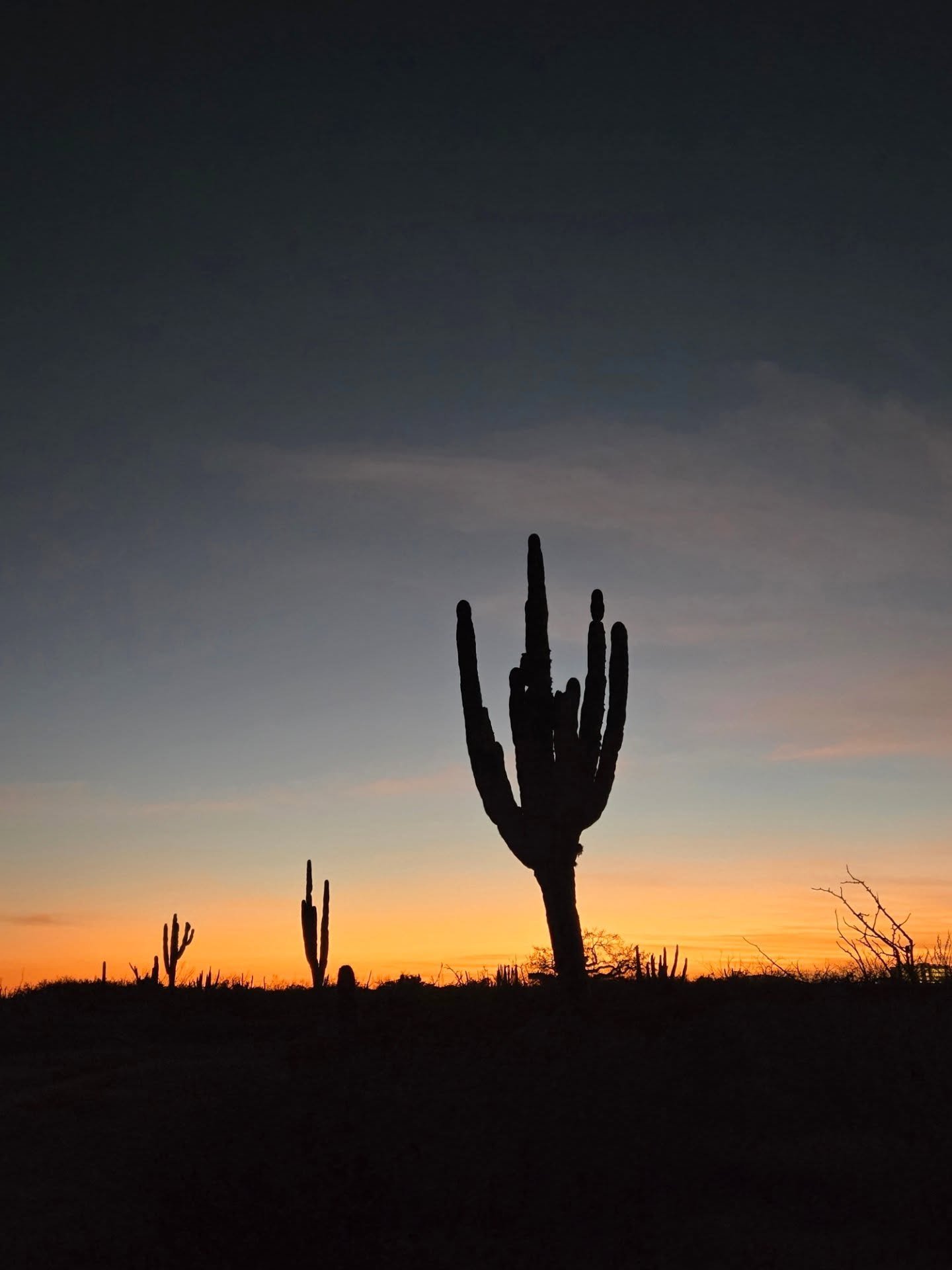 🌵✌🏻

&bull;&bull;&bull;

Sunset vibes &bull; Cerritos Beach Sunset &bull; Baja Sur &bull; Saguaro cactus &bull; Sunset lover