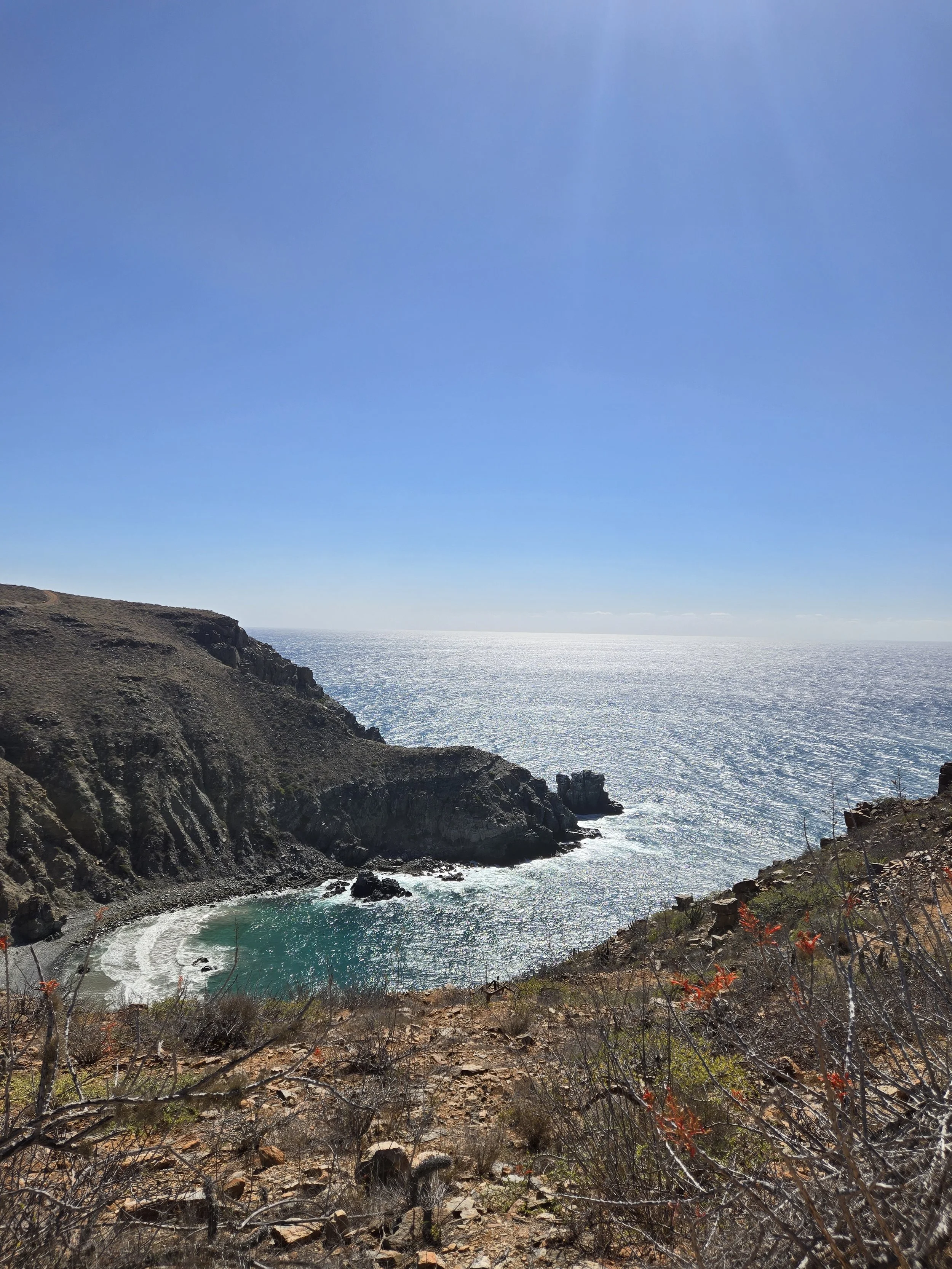 PUNTA-LOBOS-TRAIL-BEACH-VIEW.jpg