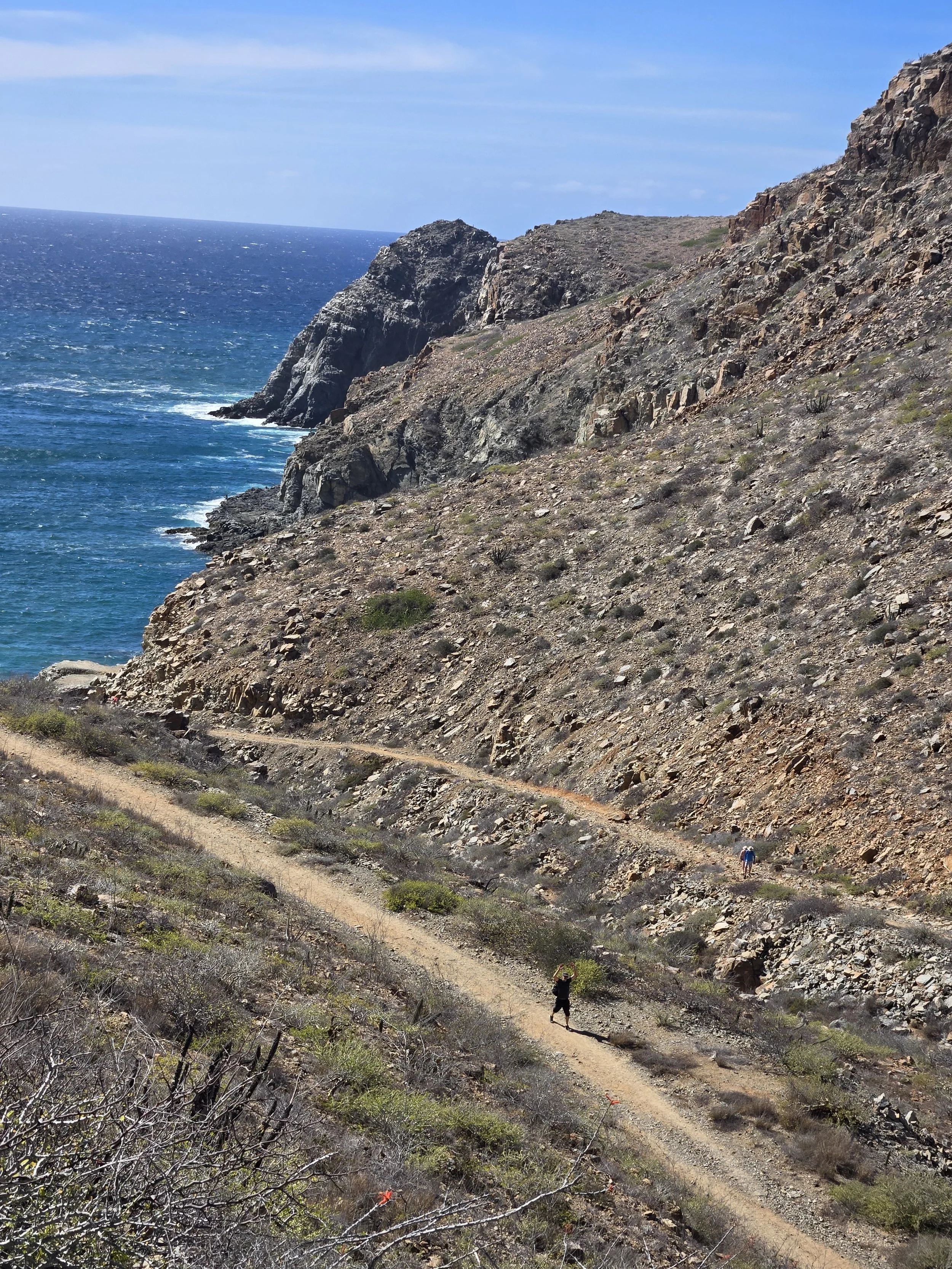 PUNTA-LOBOS-TRAIL-AND-OCEAN.jpg