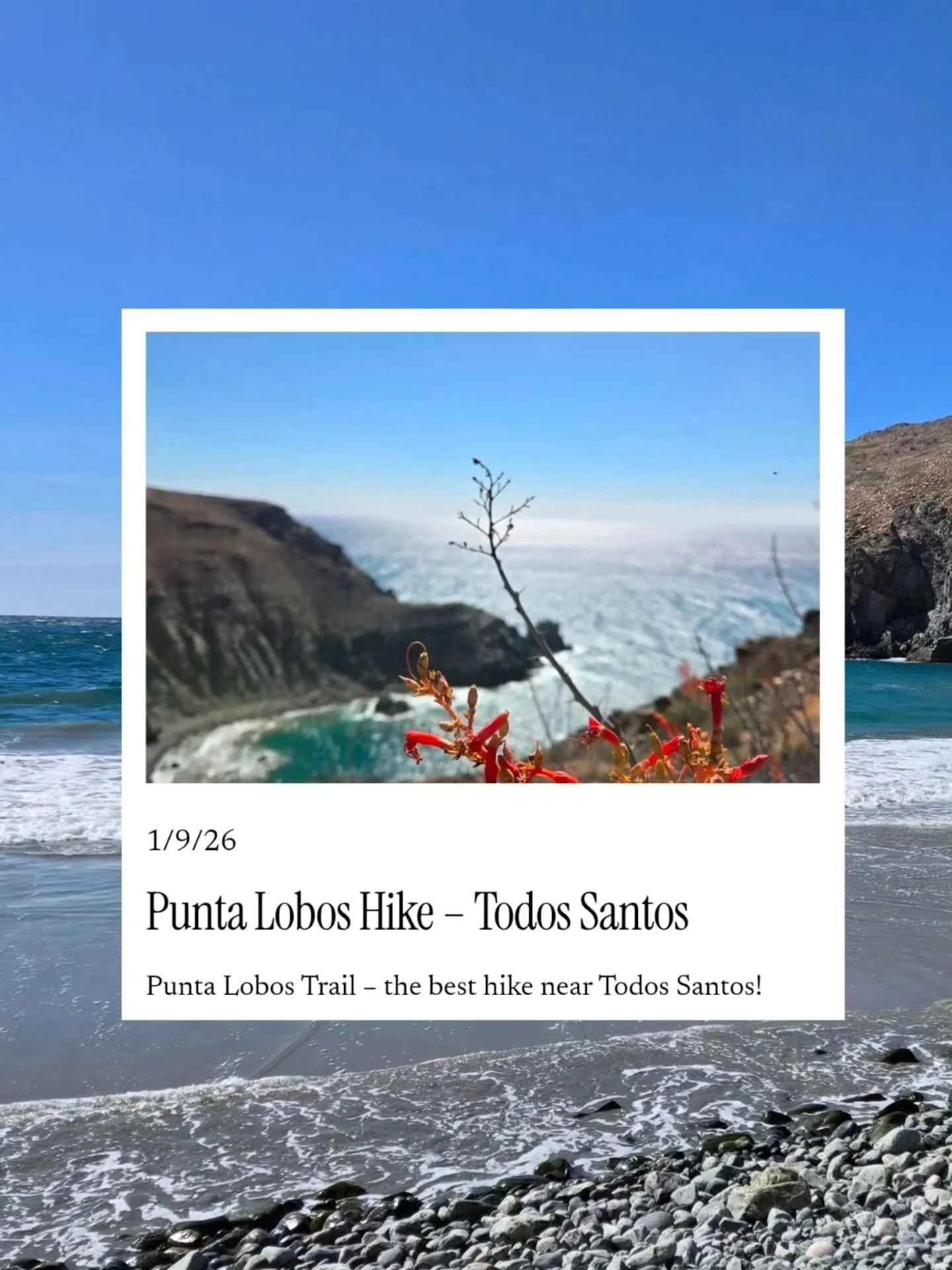 New blog post! ✨️

If hiking with both ocean and mountain views sounds dreamy to you, the Punta Lobos Trail hike is a must-experience! 

It's only 10-15 minutes from our bungalow and is very easy to find. Bring your swimsuit if you make it all the wa
