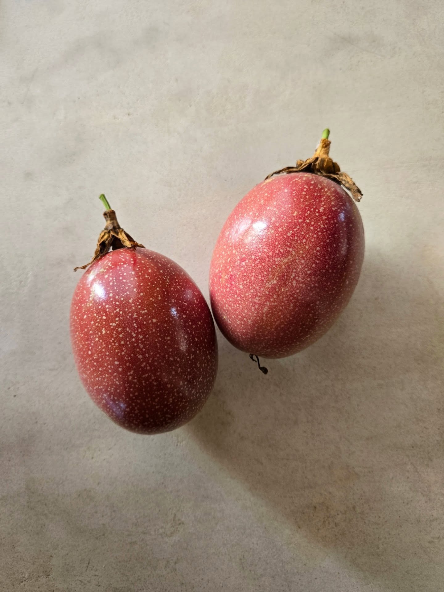 Maracuy&aacute;. 🥭

Otherwise known as passion fruit, this delectable goodness grows around the perimeter of @casahyggemexico. Mixed-in with the bougainvillea, it's sometimes a treasure hunt to find the fruit hidden behind the flowers and leaves.

U