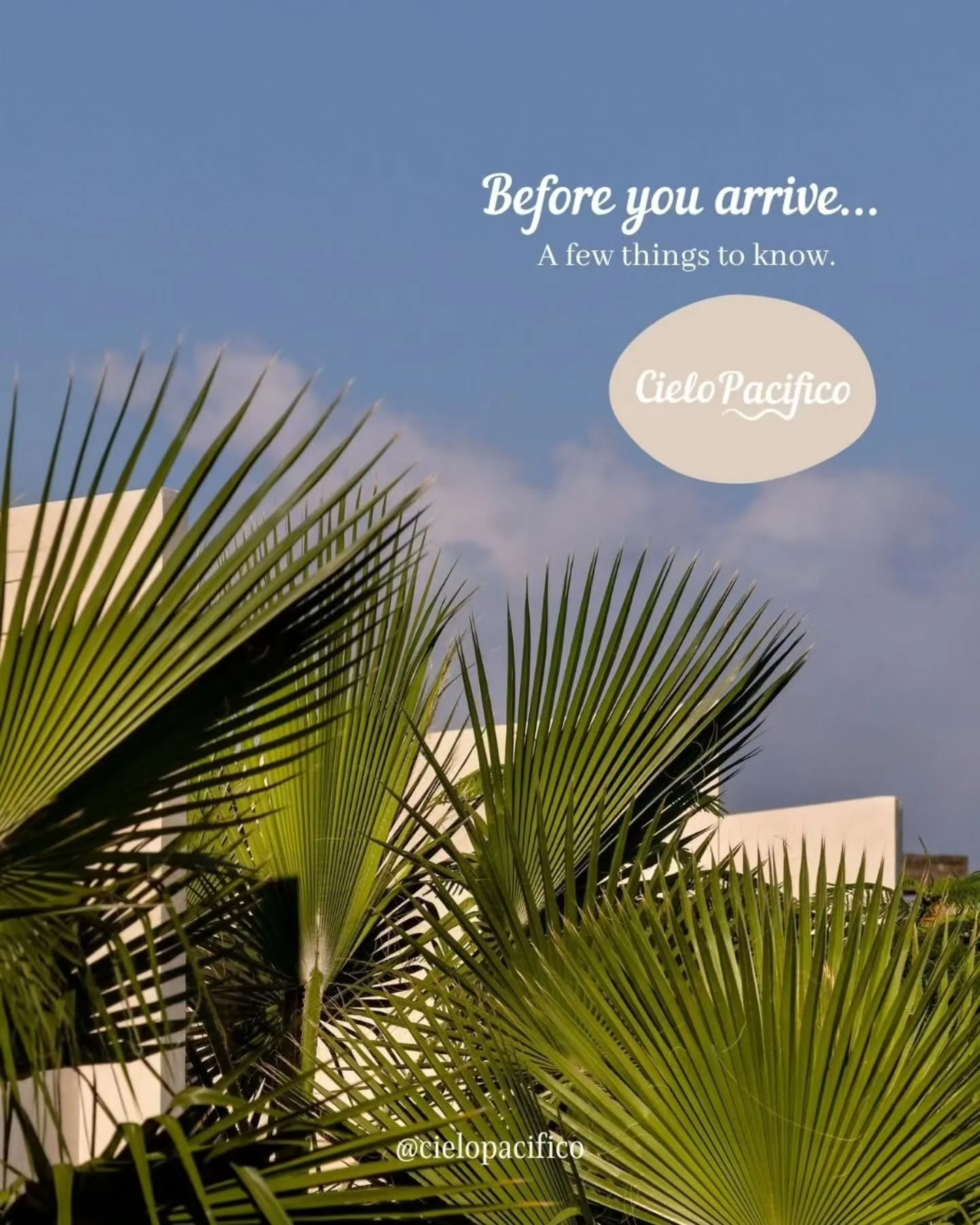 Before you arrive, here's the real story about @cielopacifico. ✨️

We're not your typical vacation rental &ndash; we're a real home (not a hotel), a community gathering place, and your authentic Baja escape that's stocked and ready for you to stay fo