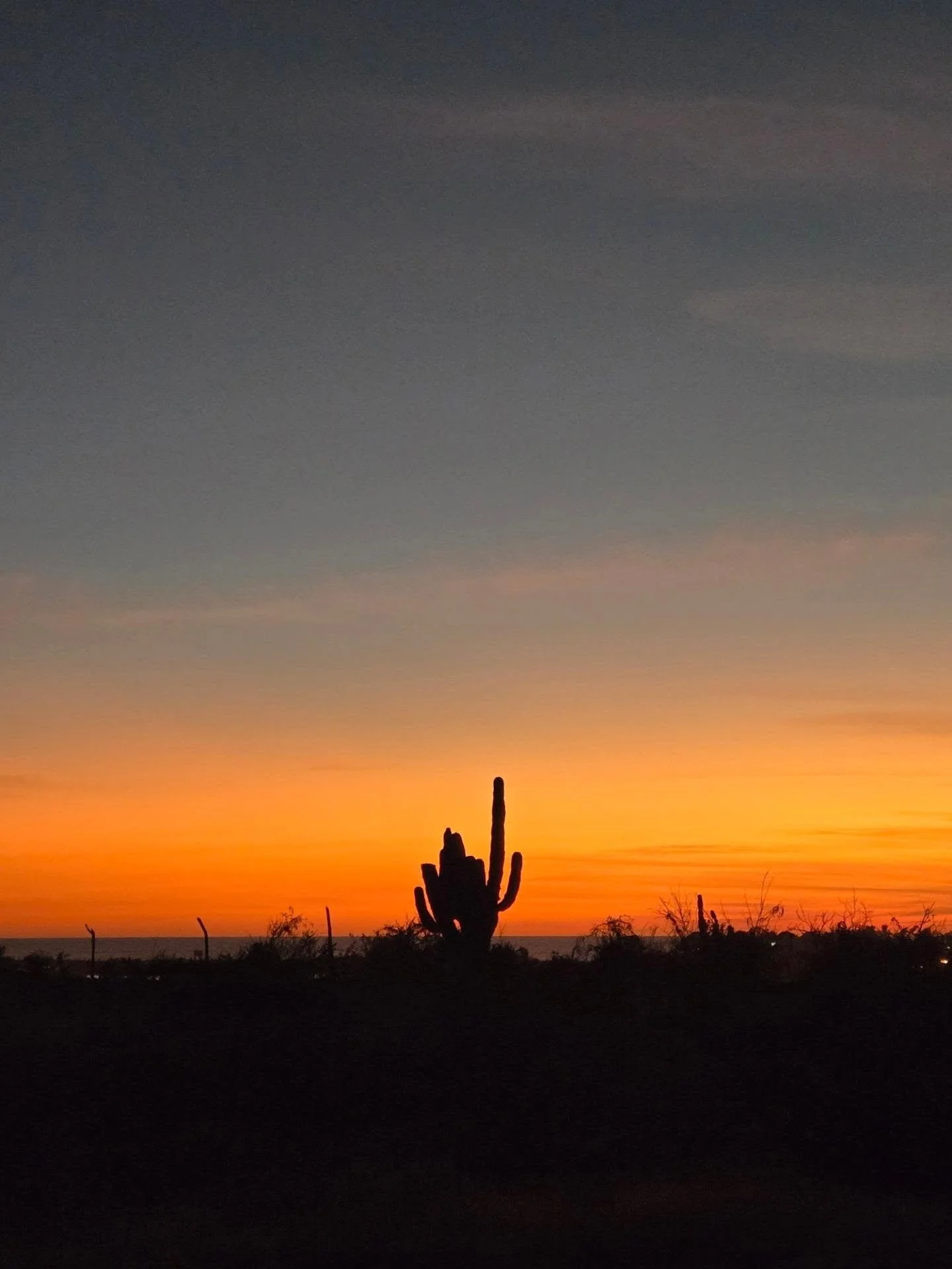 Every. Single. Sunset. Here. Is. Magical. ✨️🔮

Whether you're soaking it in from the rooftop patio or at the beach, you're in for a treat. Book your stay and experience the golden hour like never before!

💛☀️

&bull;&bull;&bull;
&bull;&bull;&bull;
