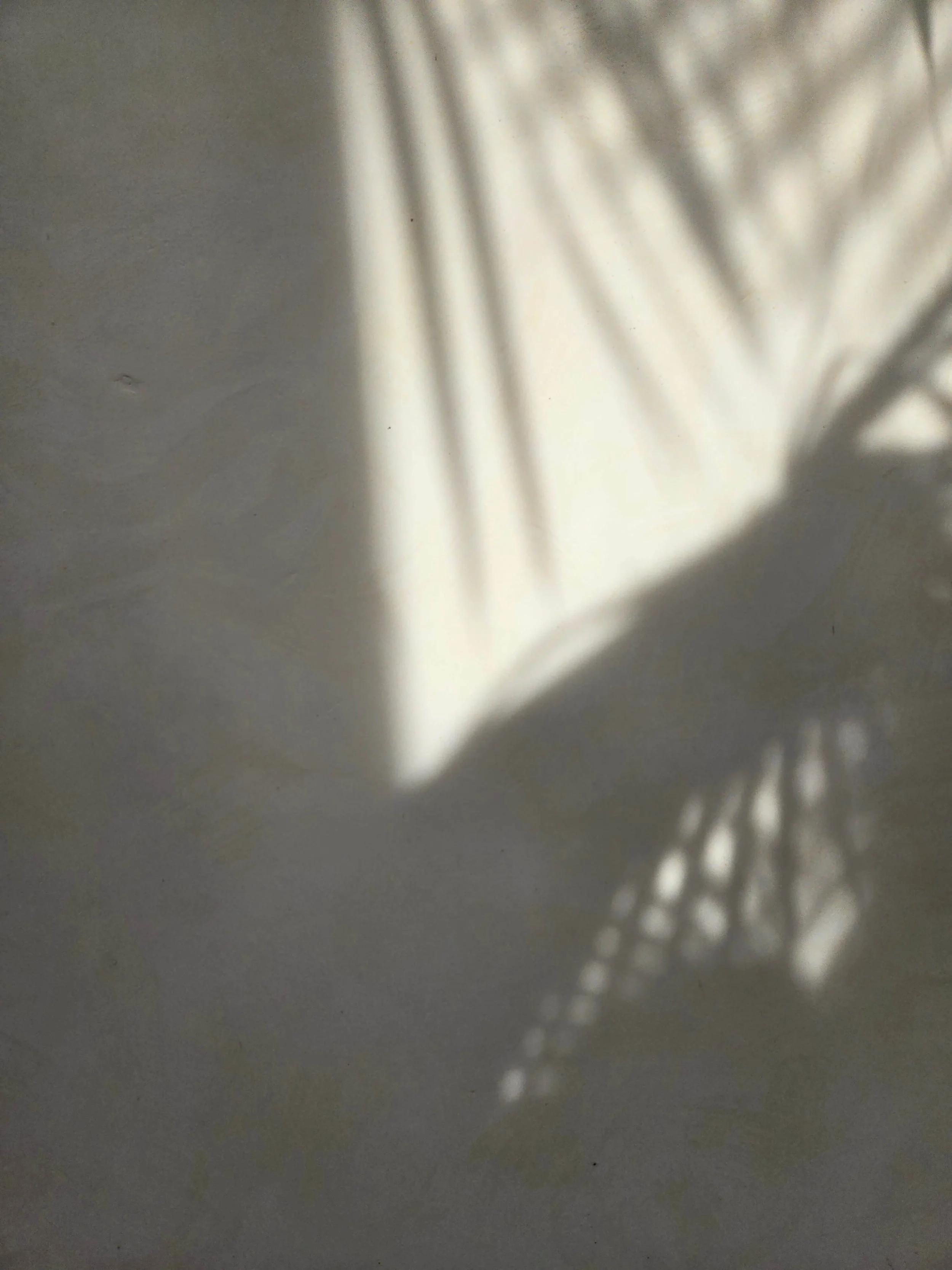PALM-SHADOWS.jpg