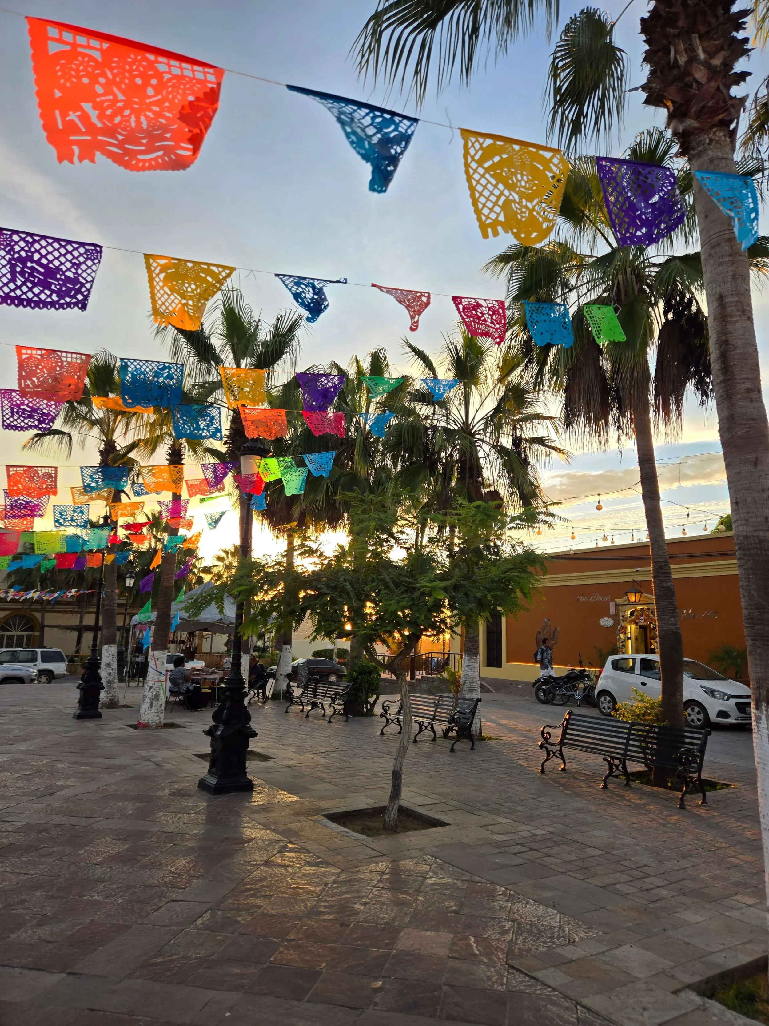 TODOS-SANTOS-DOWNTOWN-FLAGS.jpg