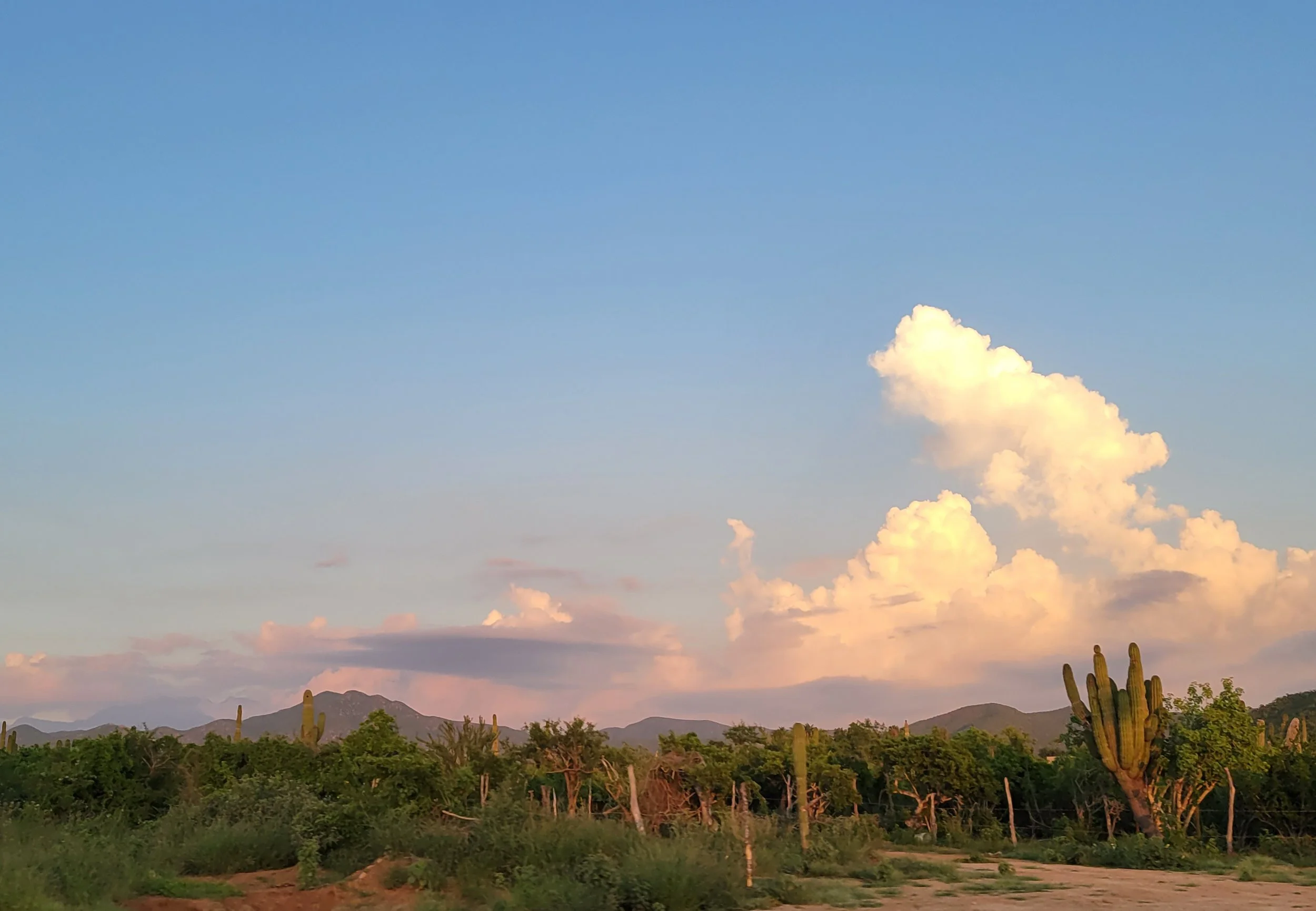 BAJA-DESERT-VIEWS.jpg