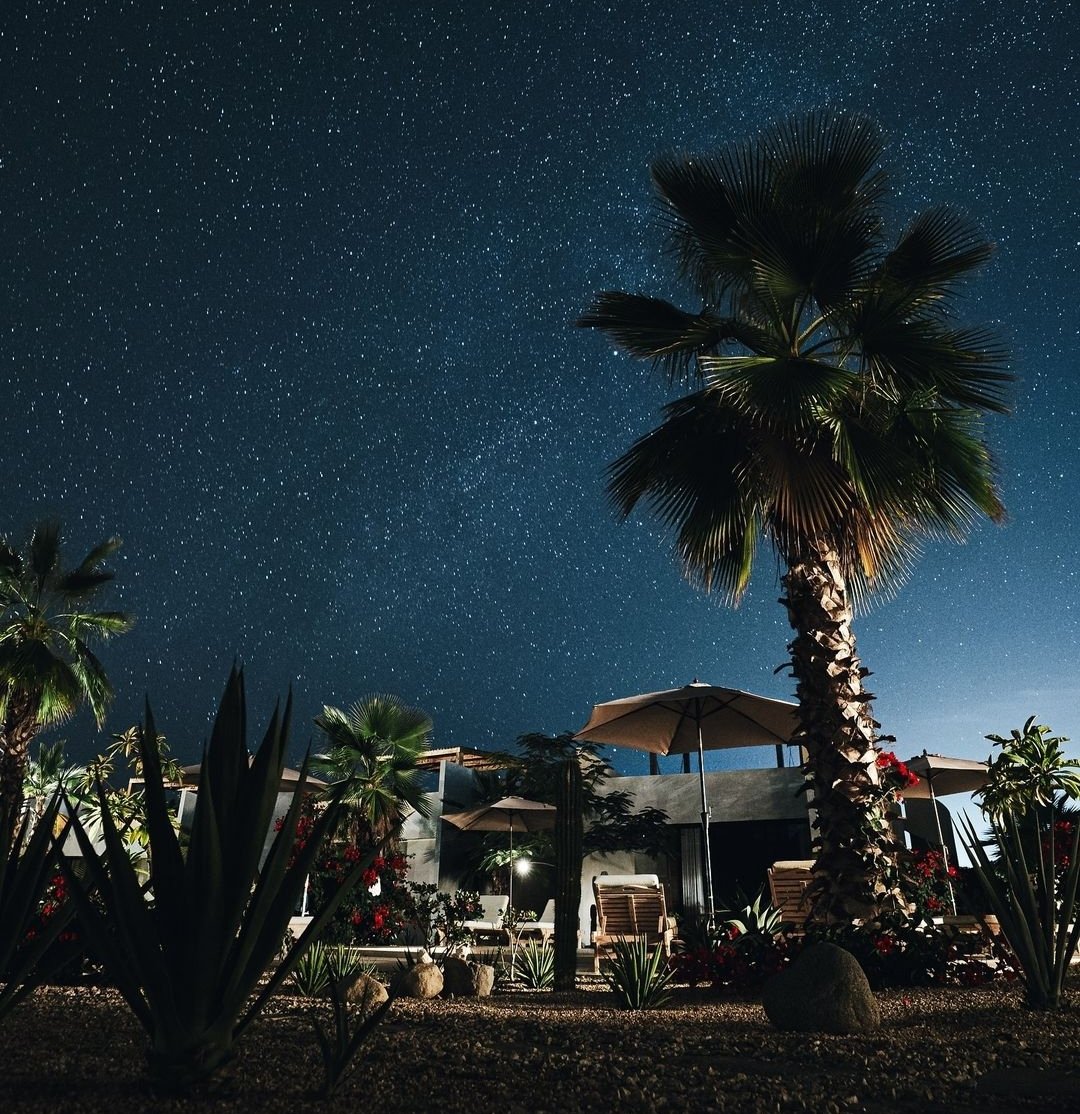 BAJA-SUR-AT-NIGHT.jpg