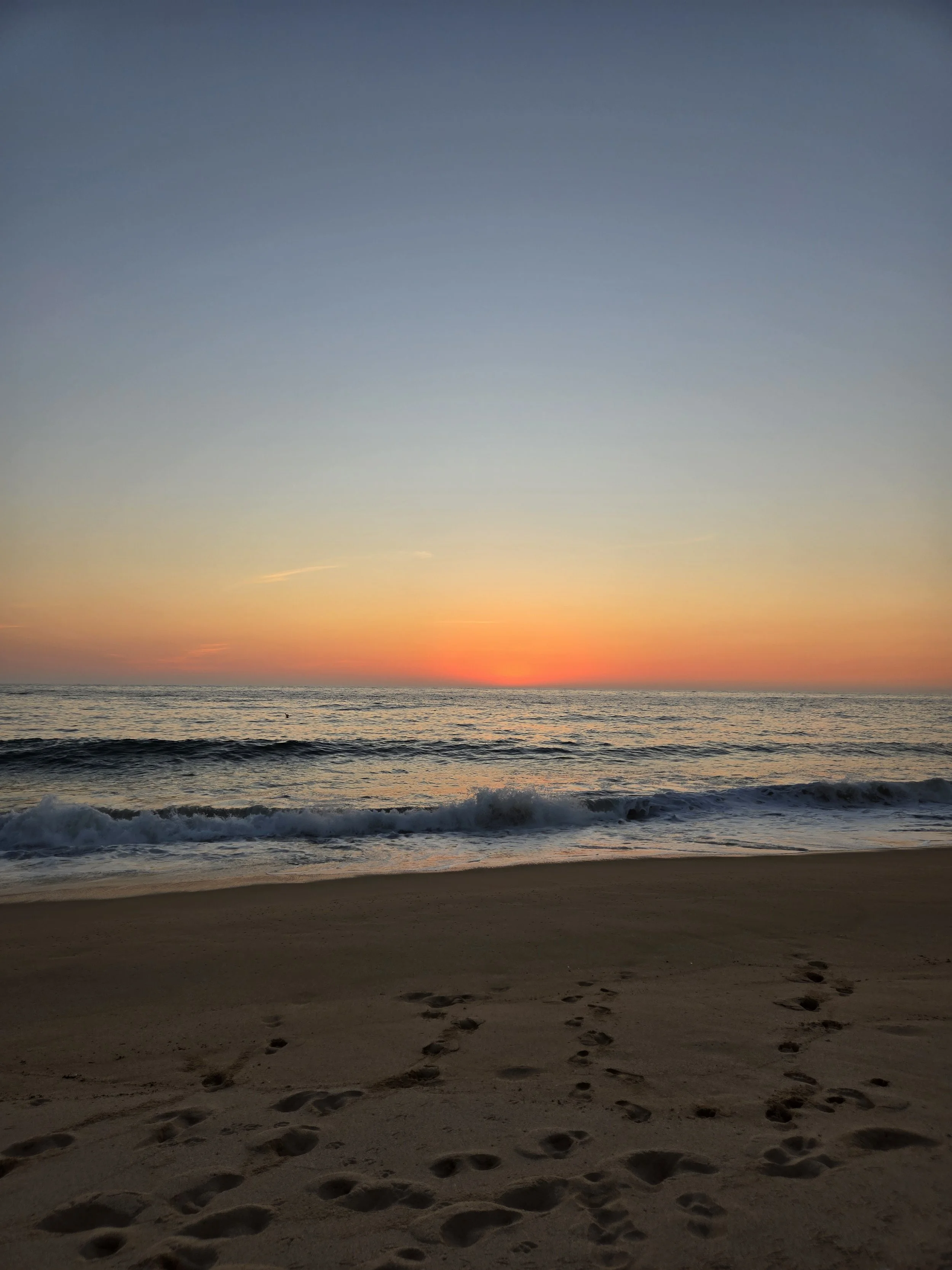 Best Beaches in Todos Santos: Your Complete Guide to Coastal Escapes