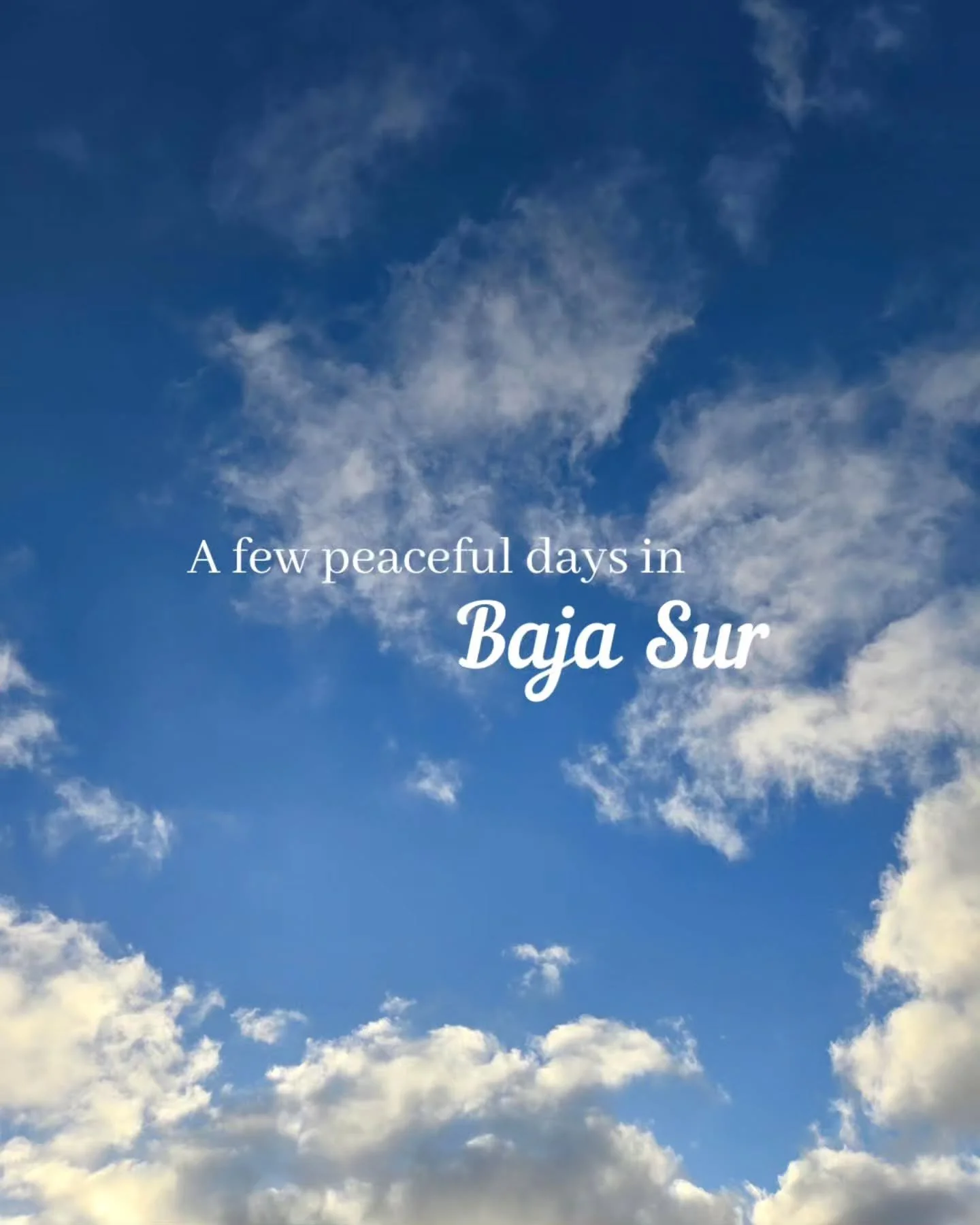 A getaway where the desert and ocean set the pace. 🌵

Spend the morning over coffee, the afternoon by the pool, and the evening watching the sky change colors from the rooftop.

Maybe the best part of a few days here is how little Baja asks of you..