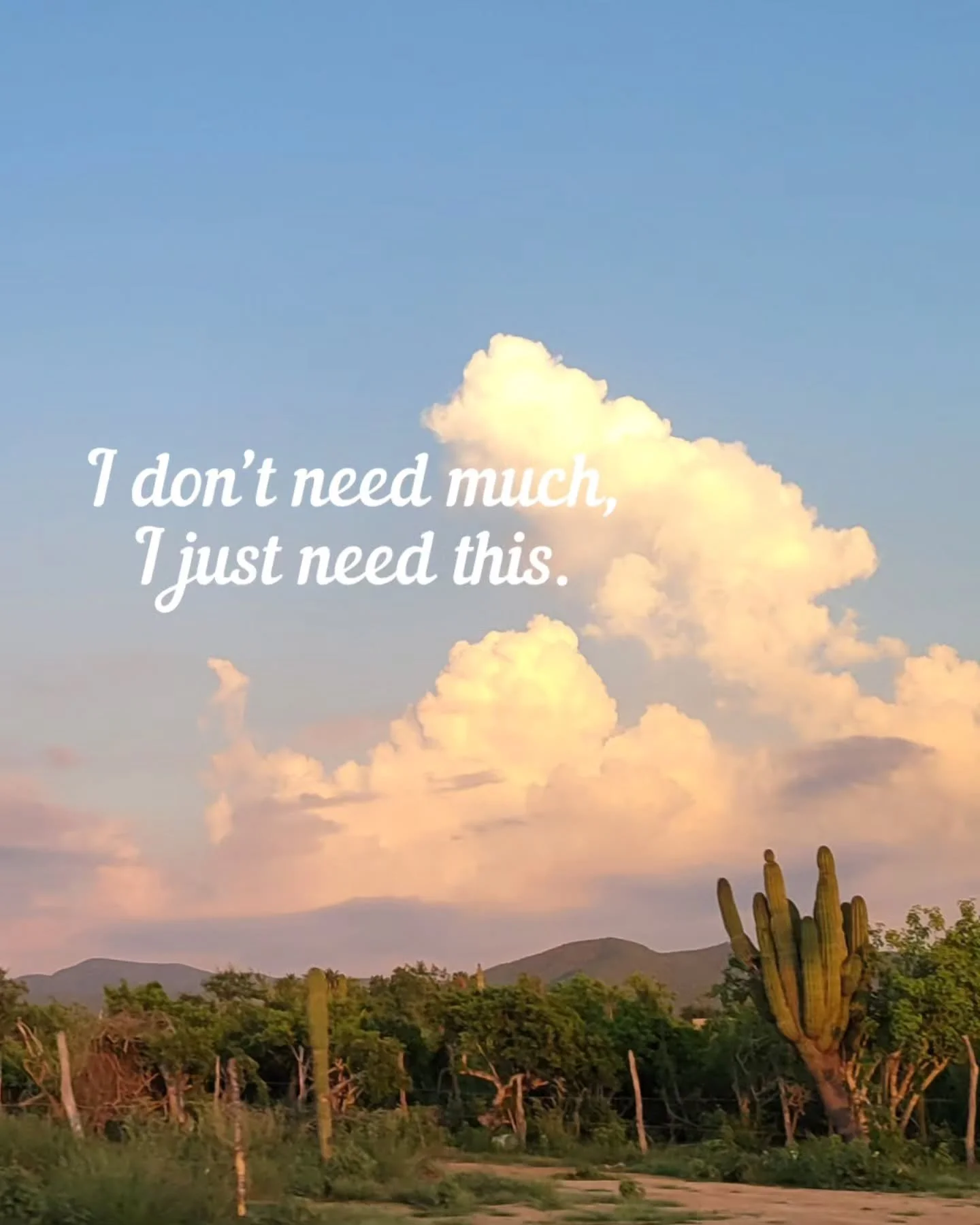 Where the desert meets the Pacific and mountains. Pure magic. Calm, yet full of life. Nourishing. 

@cielopacifico is the retreat you need. ✨️

Visit us in Baja California Sur this Winter. 

🌵🌴

&bull;&bull;&bull;
&bull;&bull;&bull;

Cielo Pac&iacu