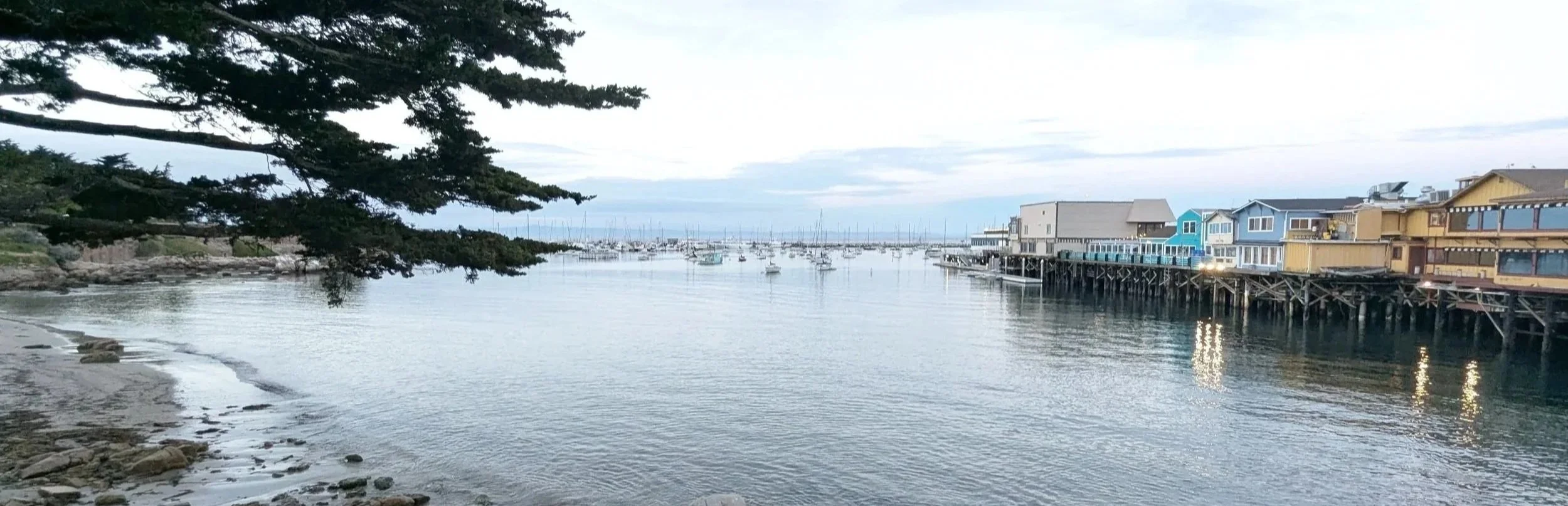 View of a marina with boats docked, colorful buildings on stilts along the waterfront, a large tree with overhanging branches, calm water, and a cloudy sky.