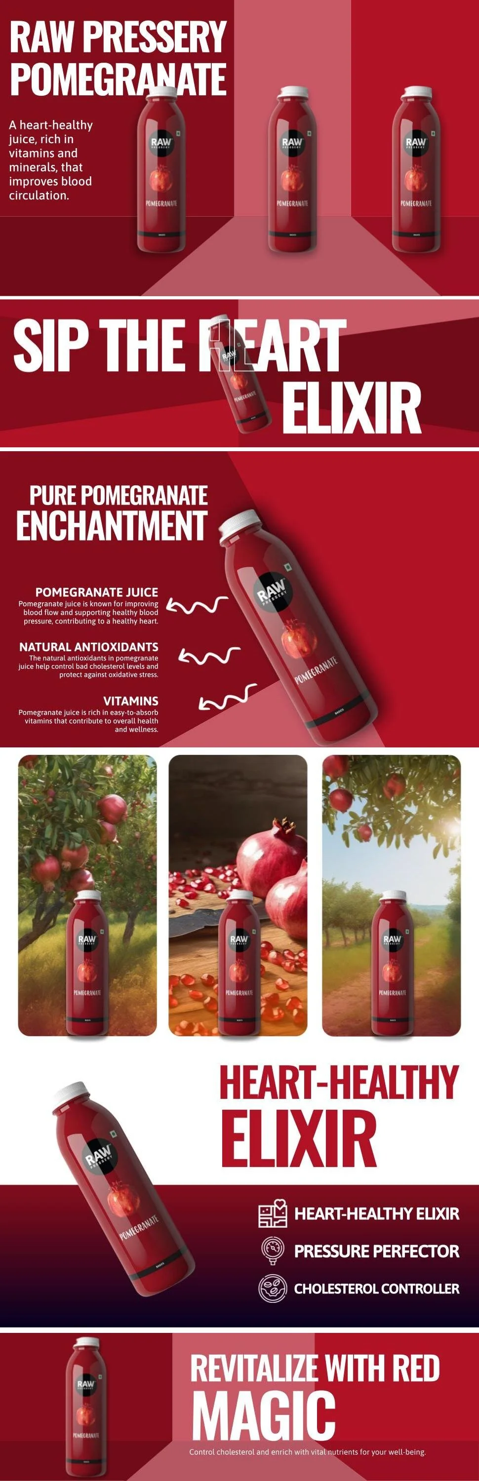 Sample Amazon A+ 1.jpg