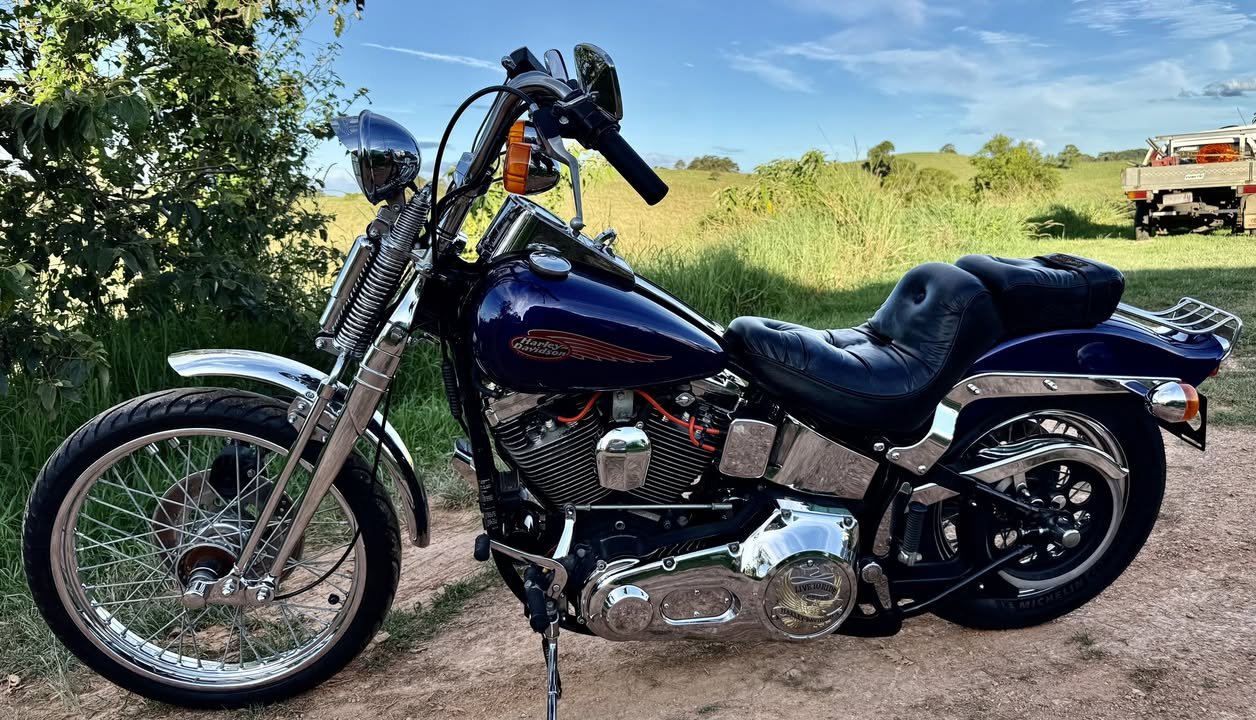 1989 Harley Davidson Softail Springer