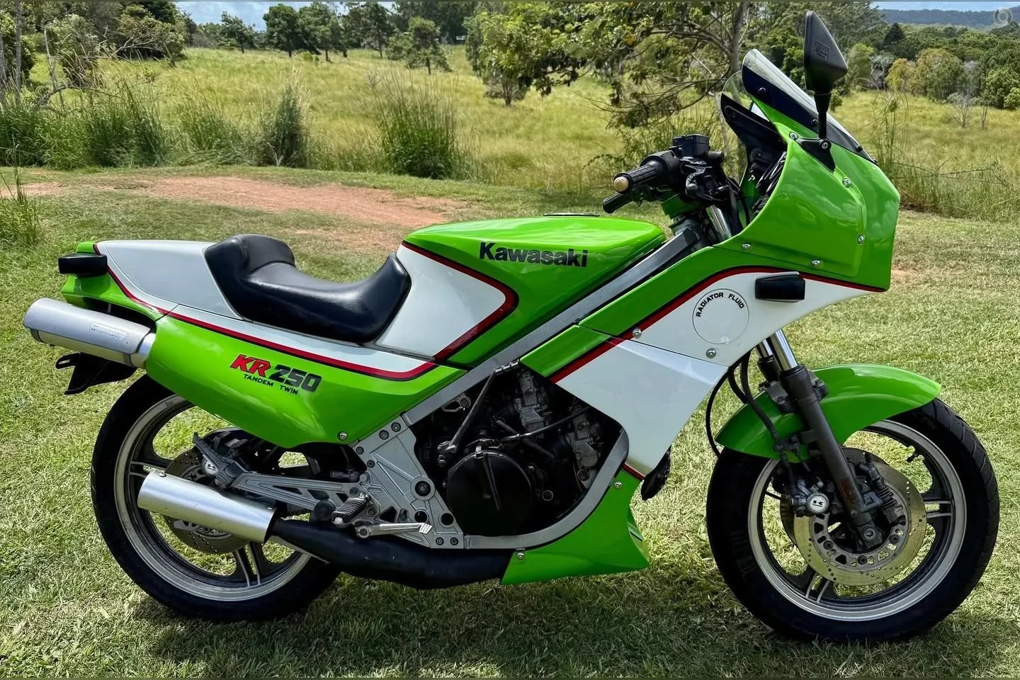 1984 Kawasaki KR250