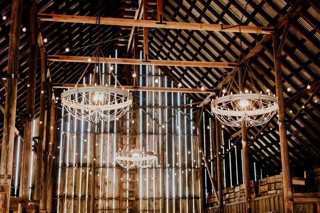 tin+roof+barn+wedding+hazlewoodphotography-043.jpg