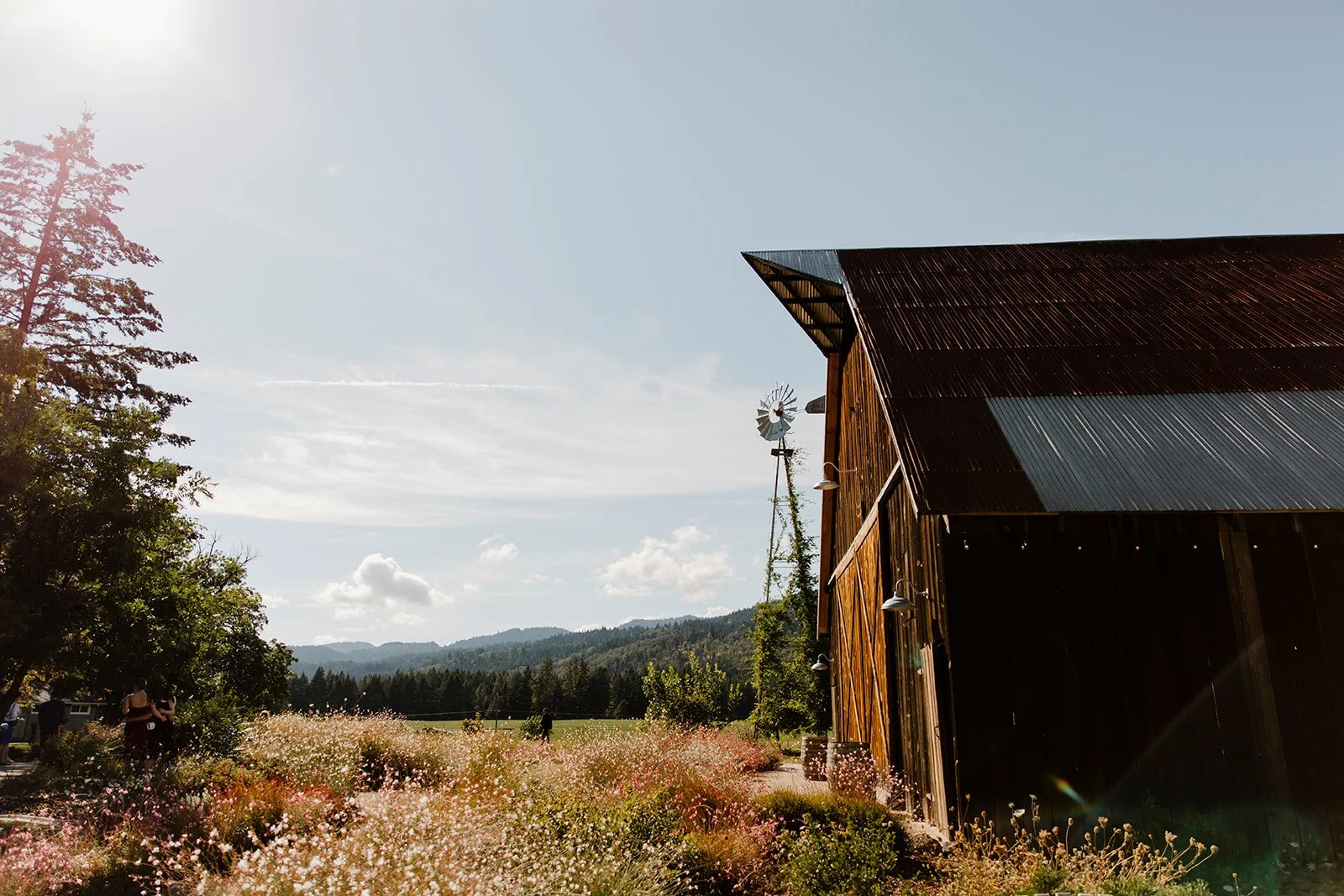 tin+roof+barn+wedding+krystaandnickphotography-264.jpg