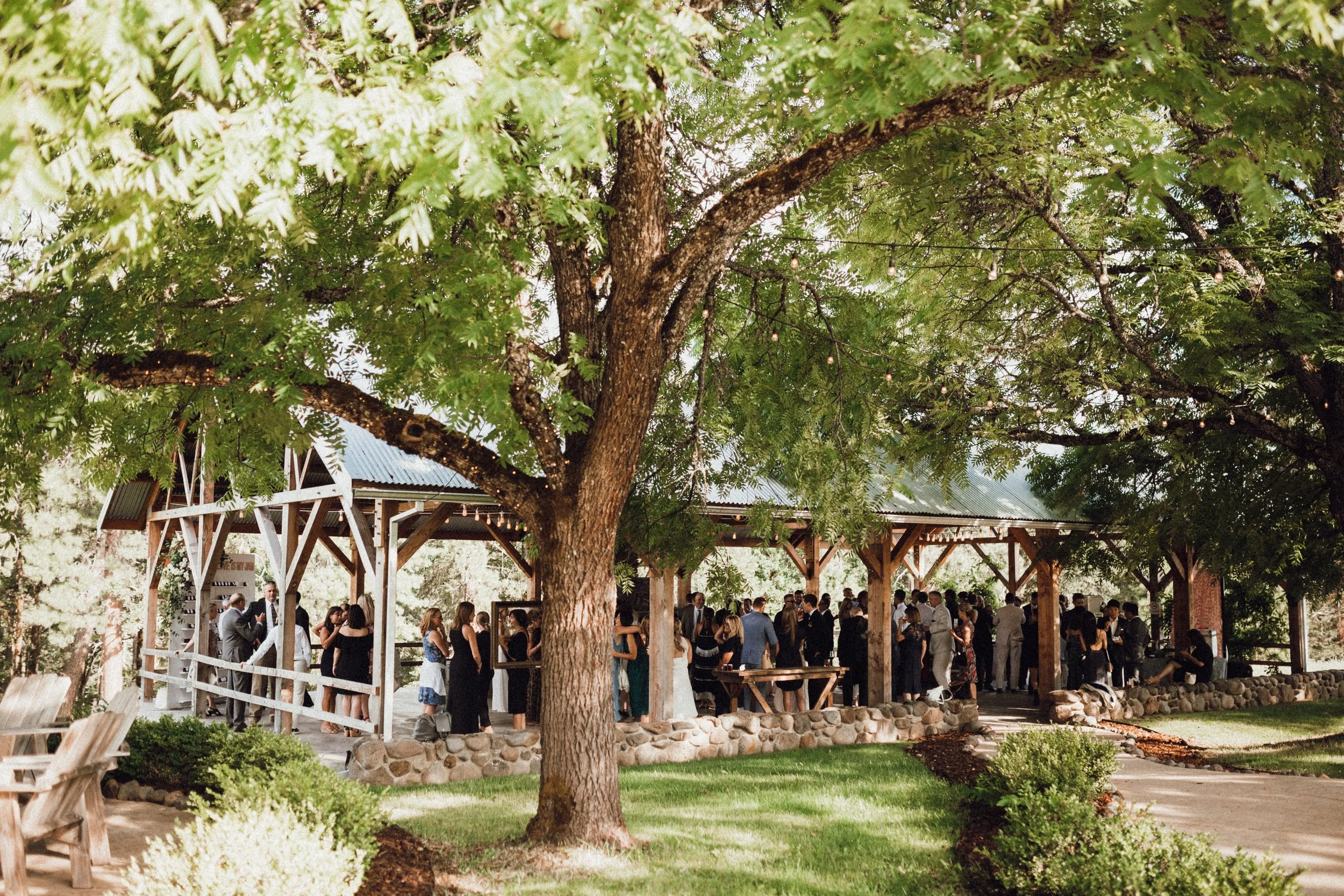tin+roof+barn+wedding+christycassanophotography-470.jpg