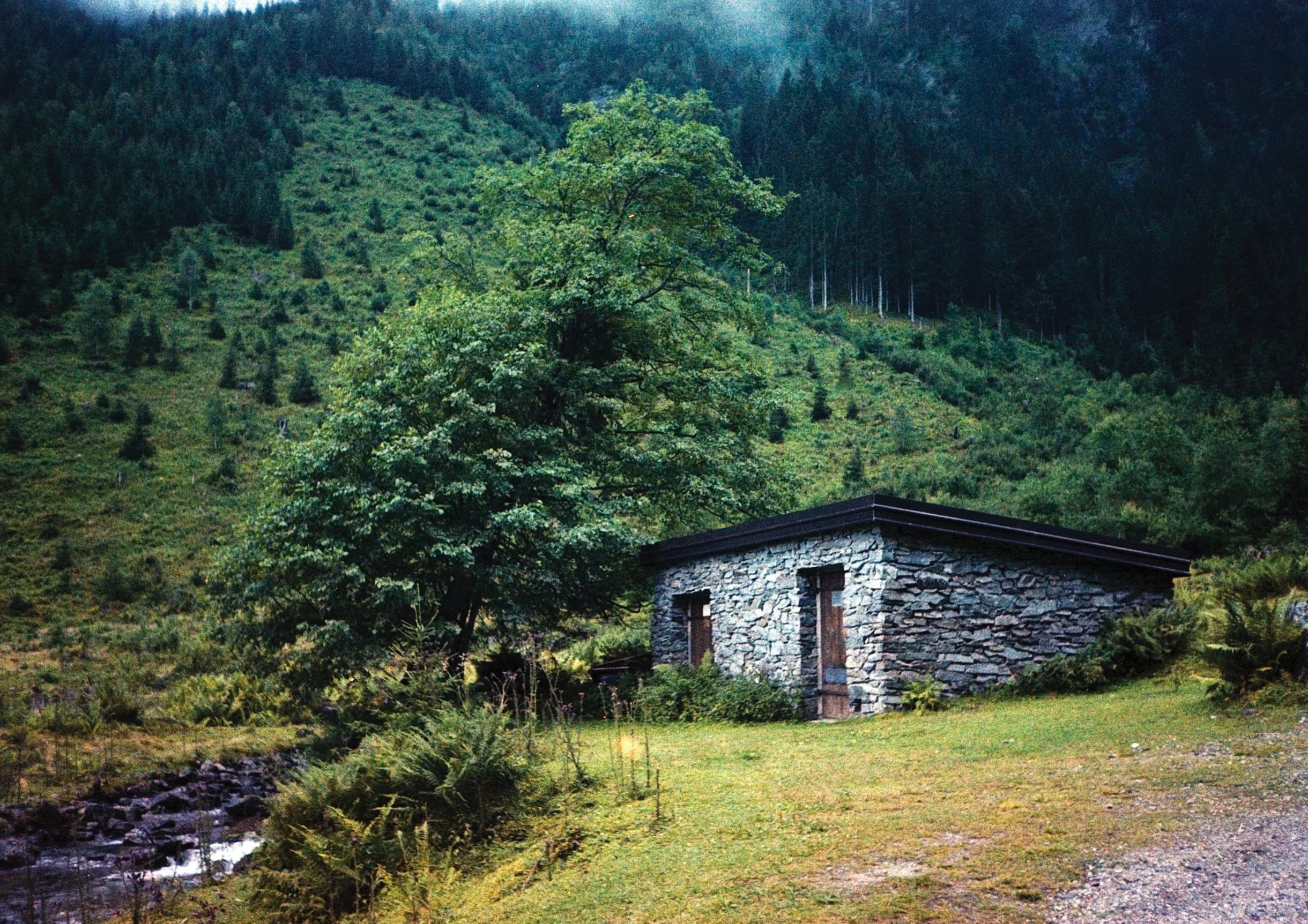 BEWO ODYSSEE