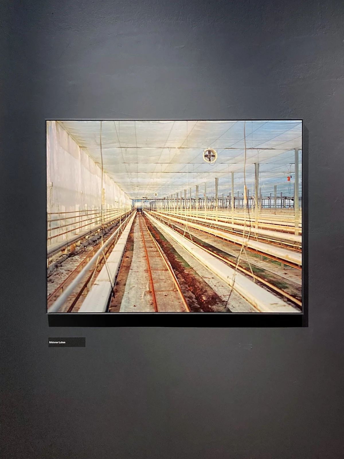 Ausstellungsansicht: WHAT A VIEW! Zeitgenössische Fotografie in Oberösterreich, 17.04.-12.07.26, Francisco Carolinum Linz © Paola Lesslhumer