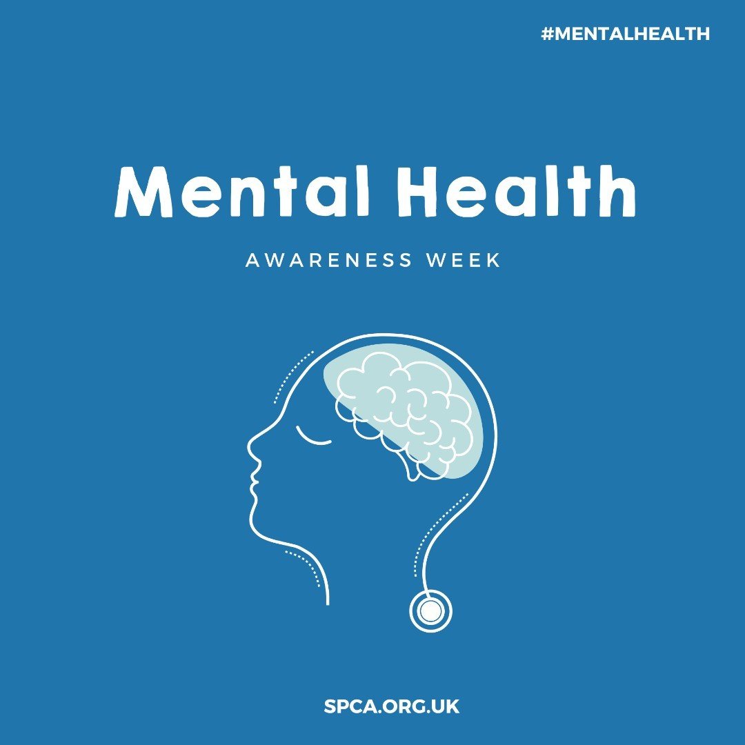 ✨ It's Mental Health Awareness week, and we are committed to supporting and encouraging positive wellbeing! Check out our FREE Wellbeing Programme at SPCA for all the amazing events and activities we have planned to help support you. Last week we had