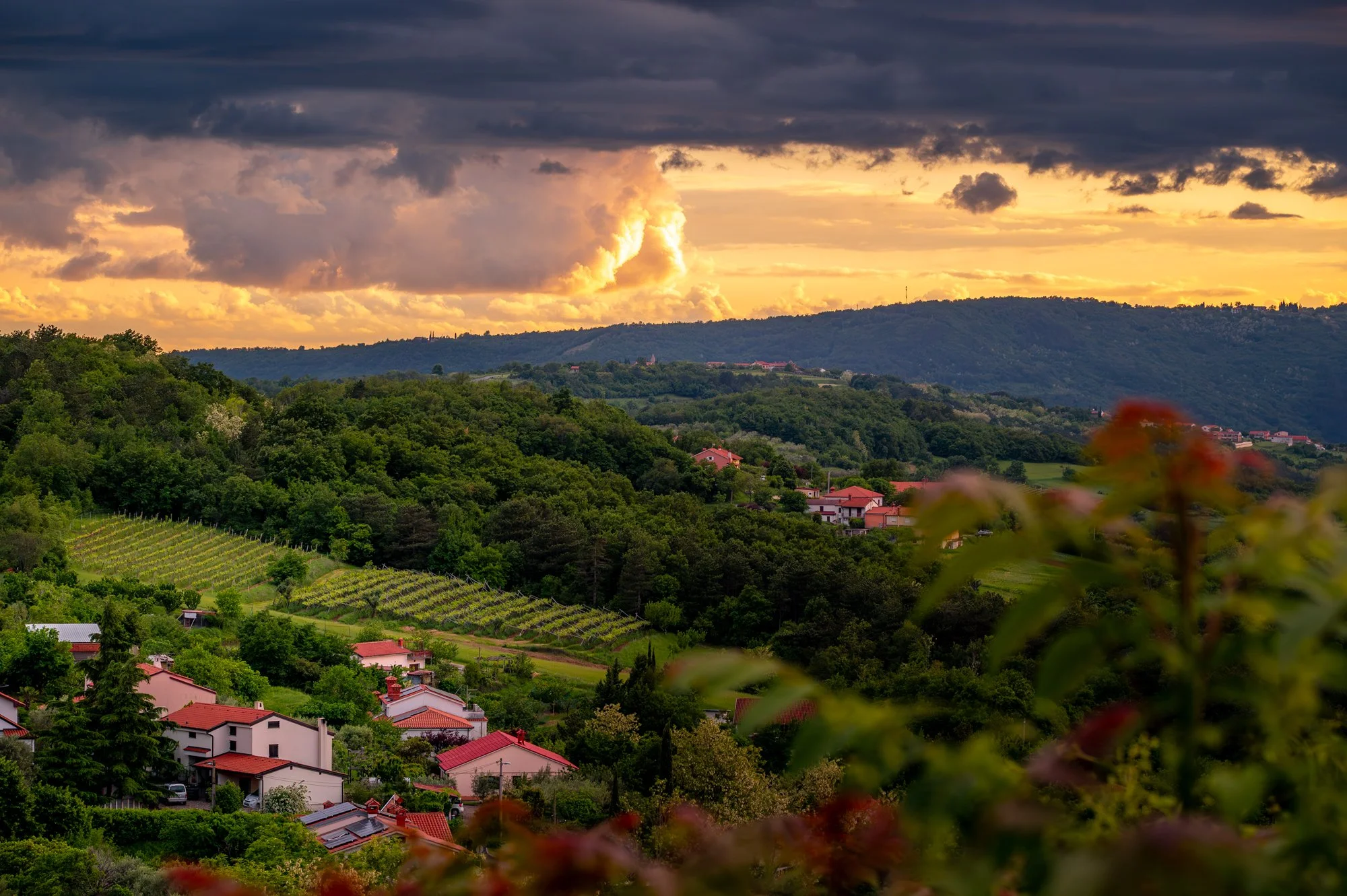 Scenic view of a hillside village with green trees, vineyards, and houses with red roofs at sunset, under a cloudy sky with orange and yellow hues. Photo: Natali Gak.