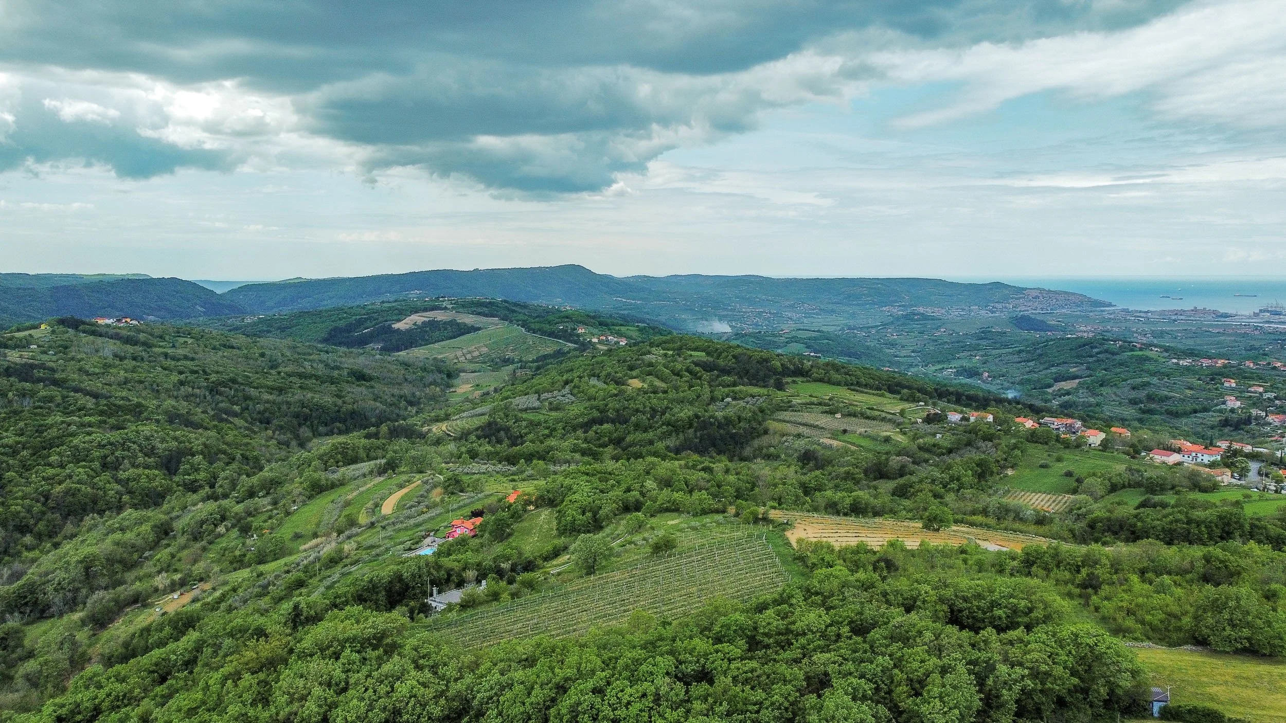 A scenic view of lush green hills with vineyards and small houses, overlooking a distant coastline under a cloudy sky.