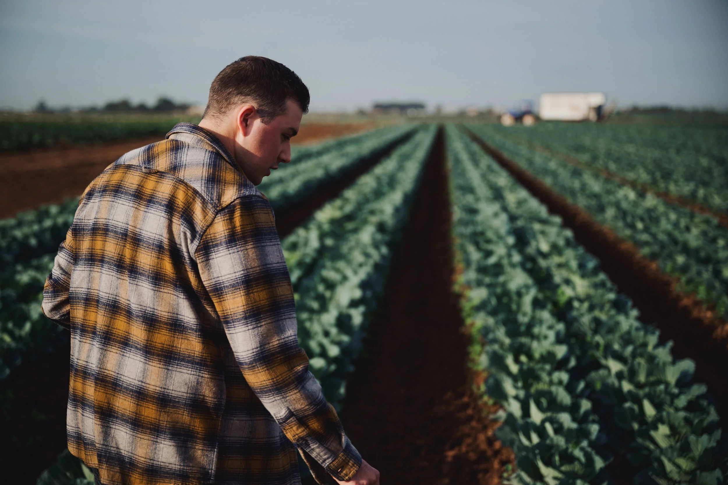 260422_Coles_Cabbage-6.jpg