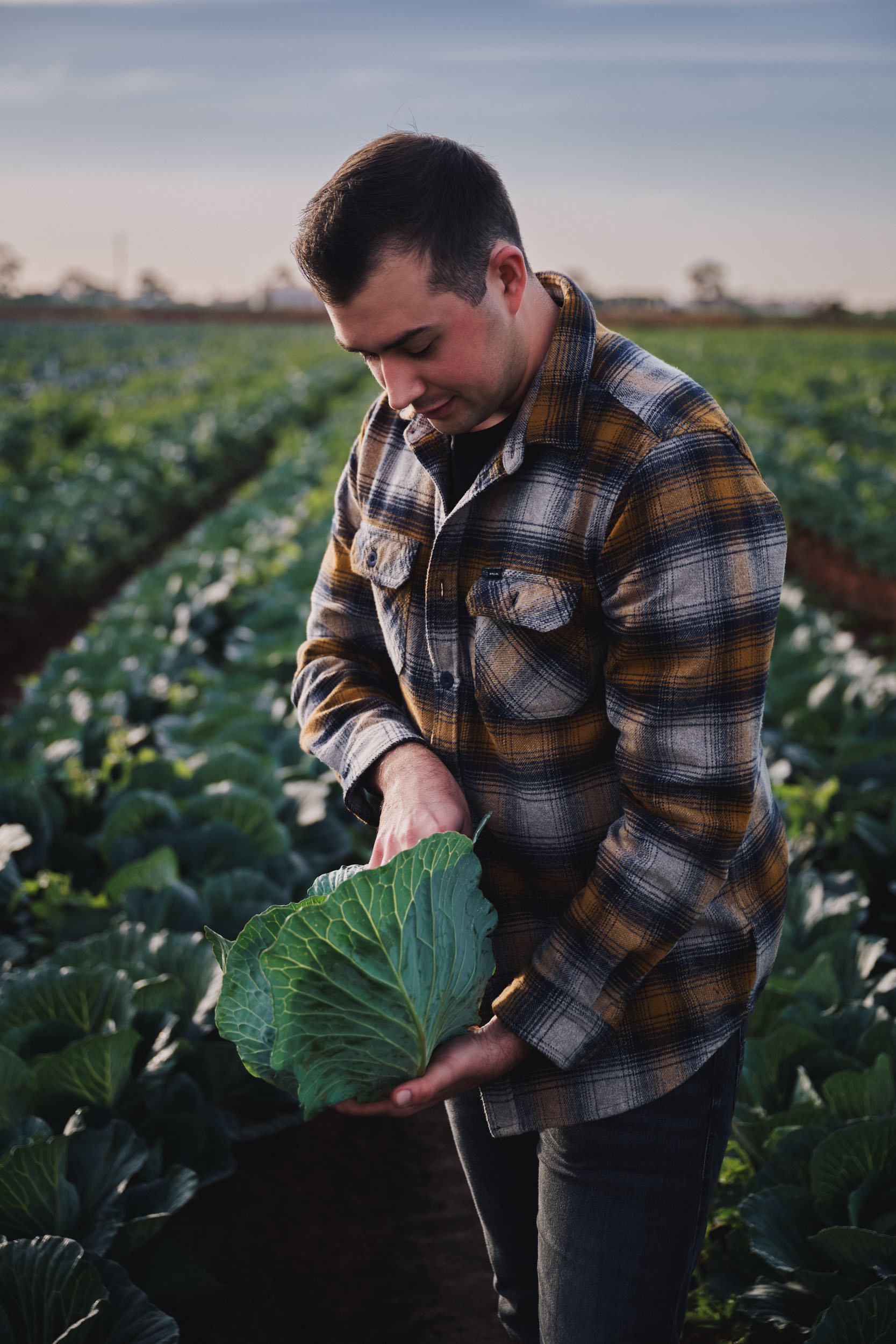 260422_Coles_Cabbage-4.jpg