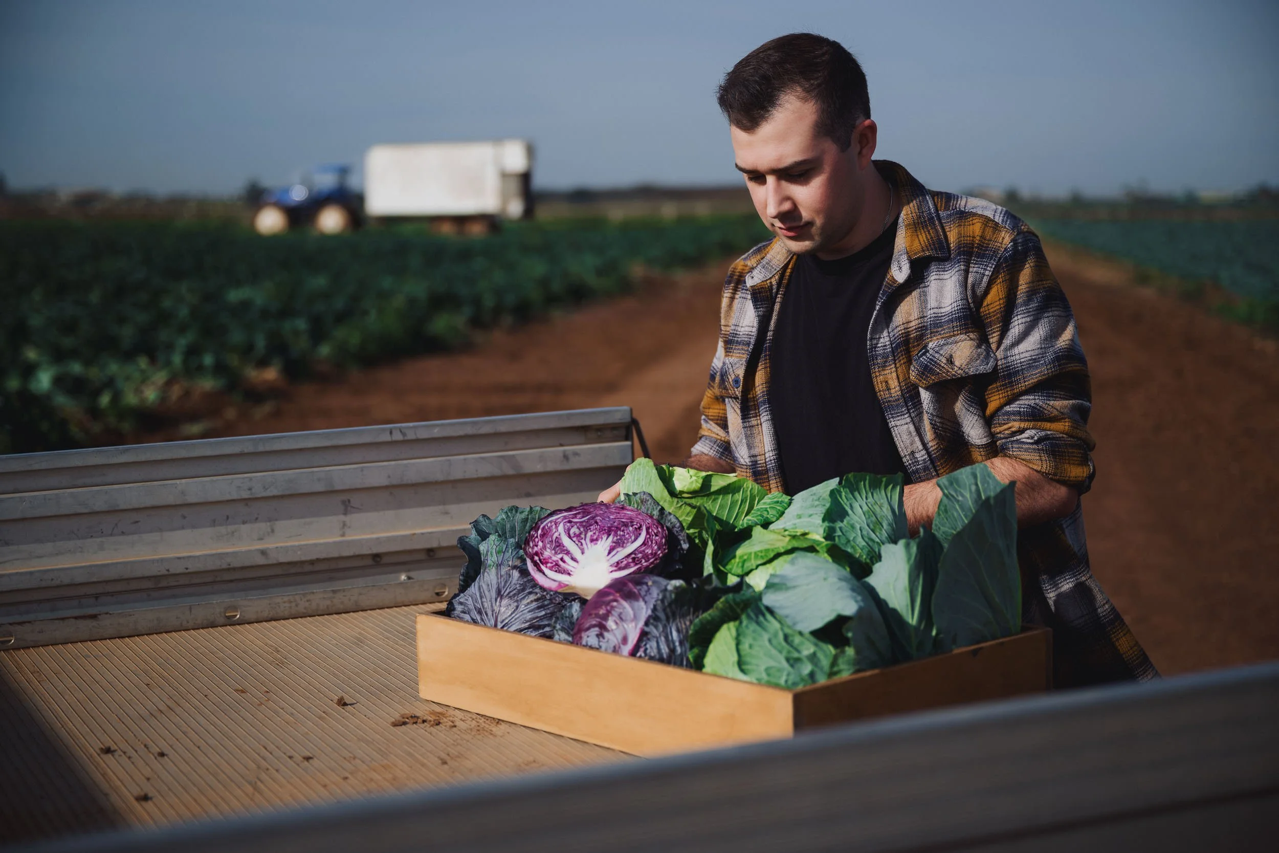 260422_Coles_Cabbage-14.jpg