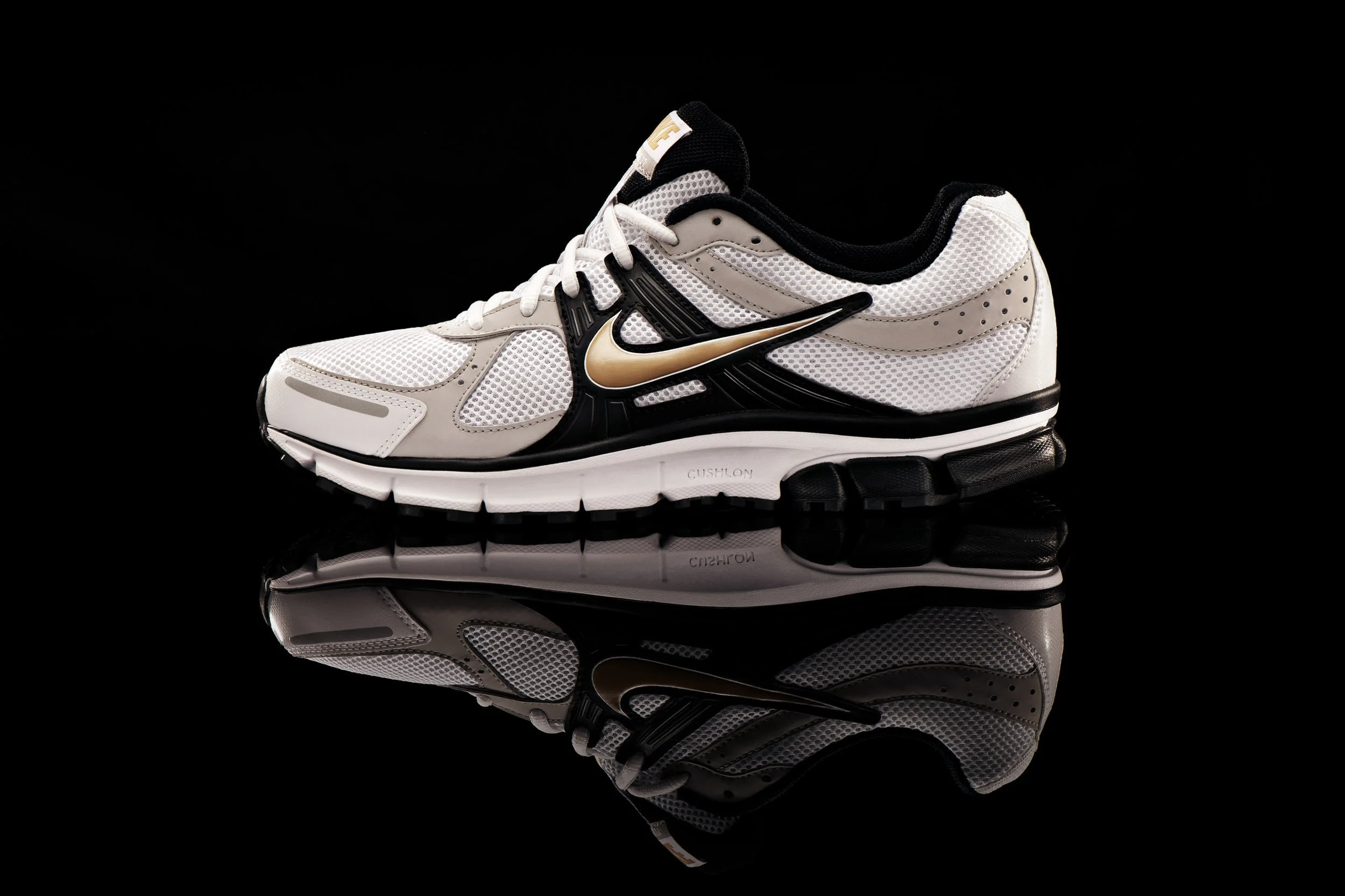 111226_Nike_Shoe.jpg