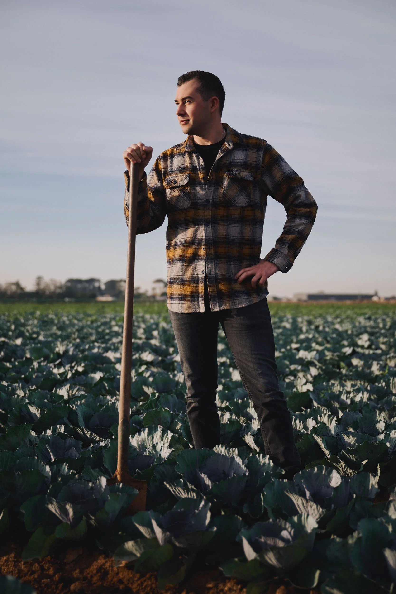 260422_Coles_Cabbage-2.jpg