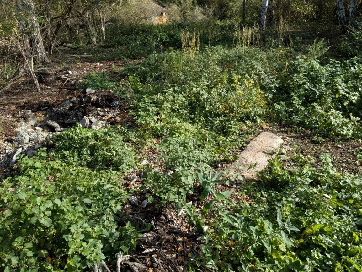 Preparations Pilot site Drogenbos (Belgium)