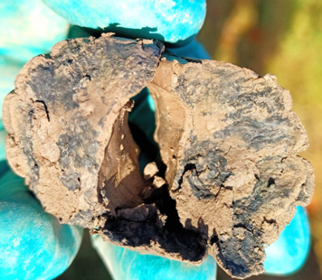 2025- Duchcov pilot site. 2png.png