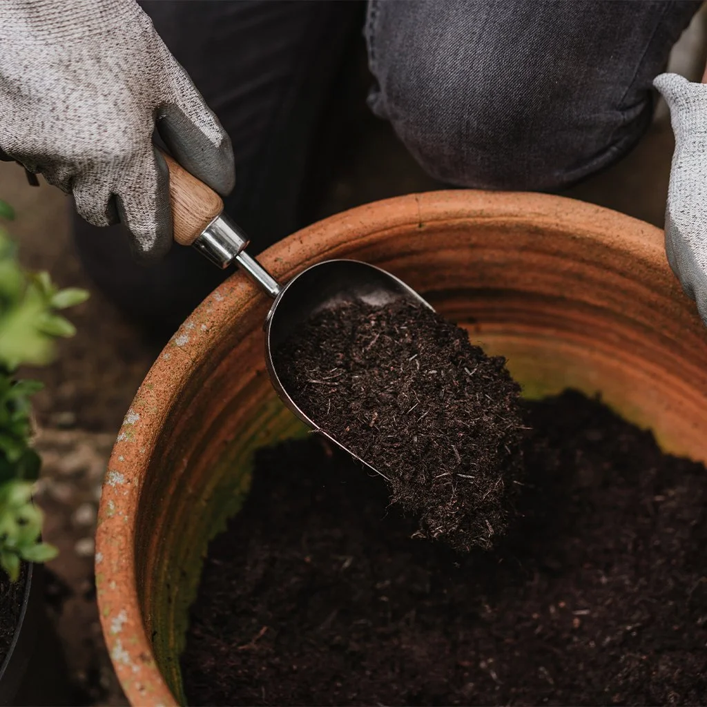 Kent & Stowe Stainless Steel Potting Scoop