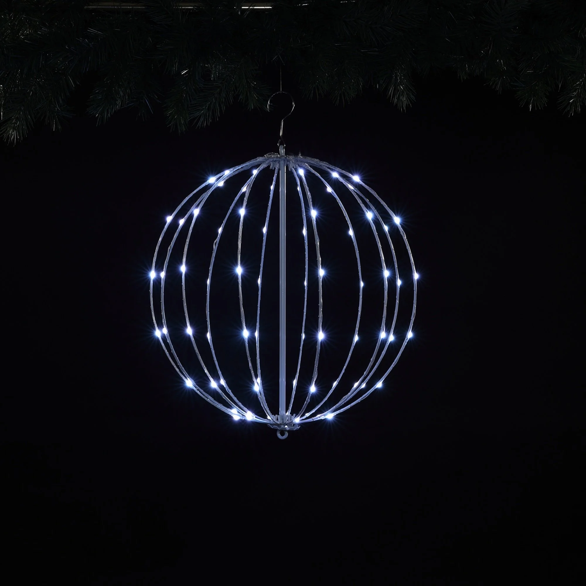 3726007_9.JPG