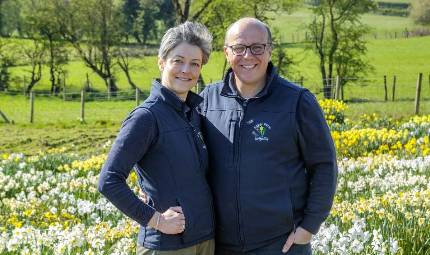 Daffodils Done Right: A Talk with Esker Farm Daffodils