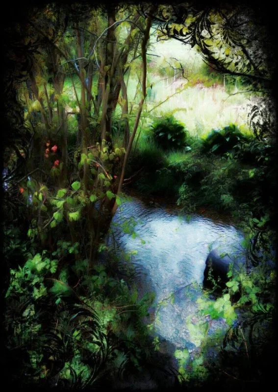 In the Undergrowth