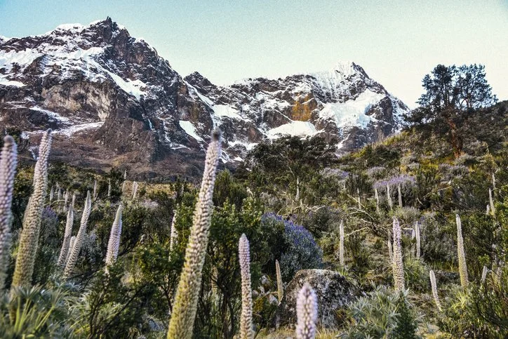montañas del ruwenzori