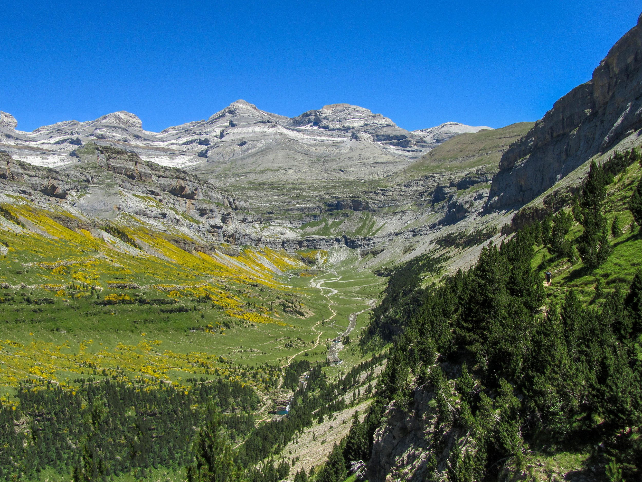 AdobeStock_185673375.jpeg