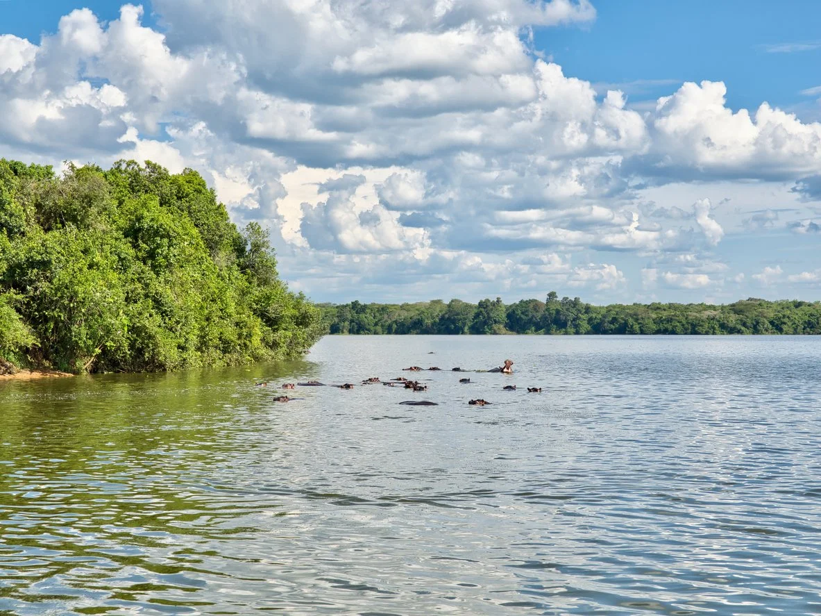 iStock-2269673043.jpg