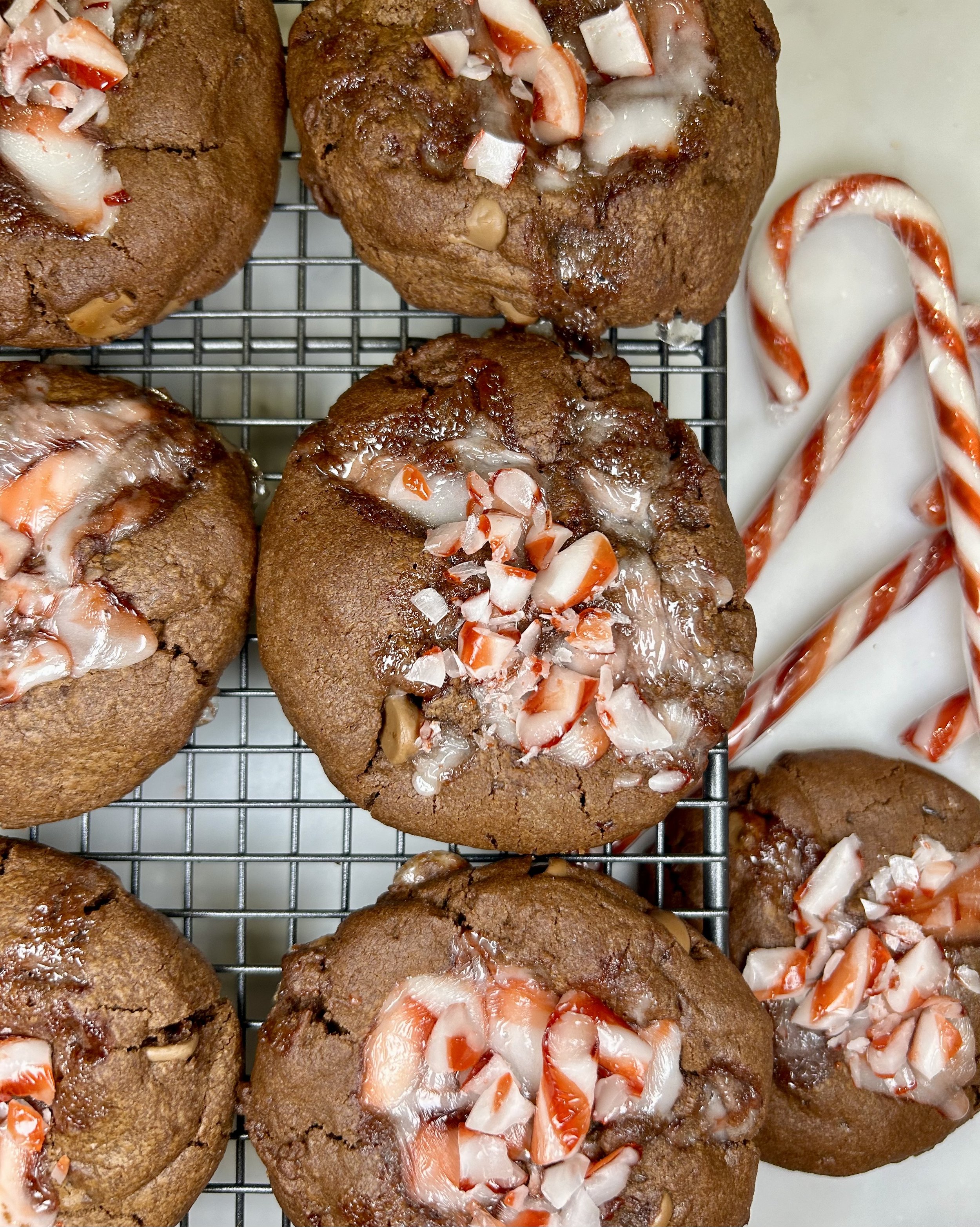 Chocolate mint cookie with candy canes