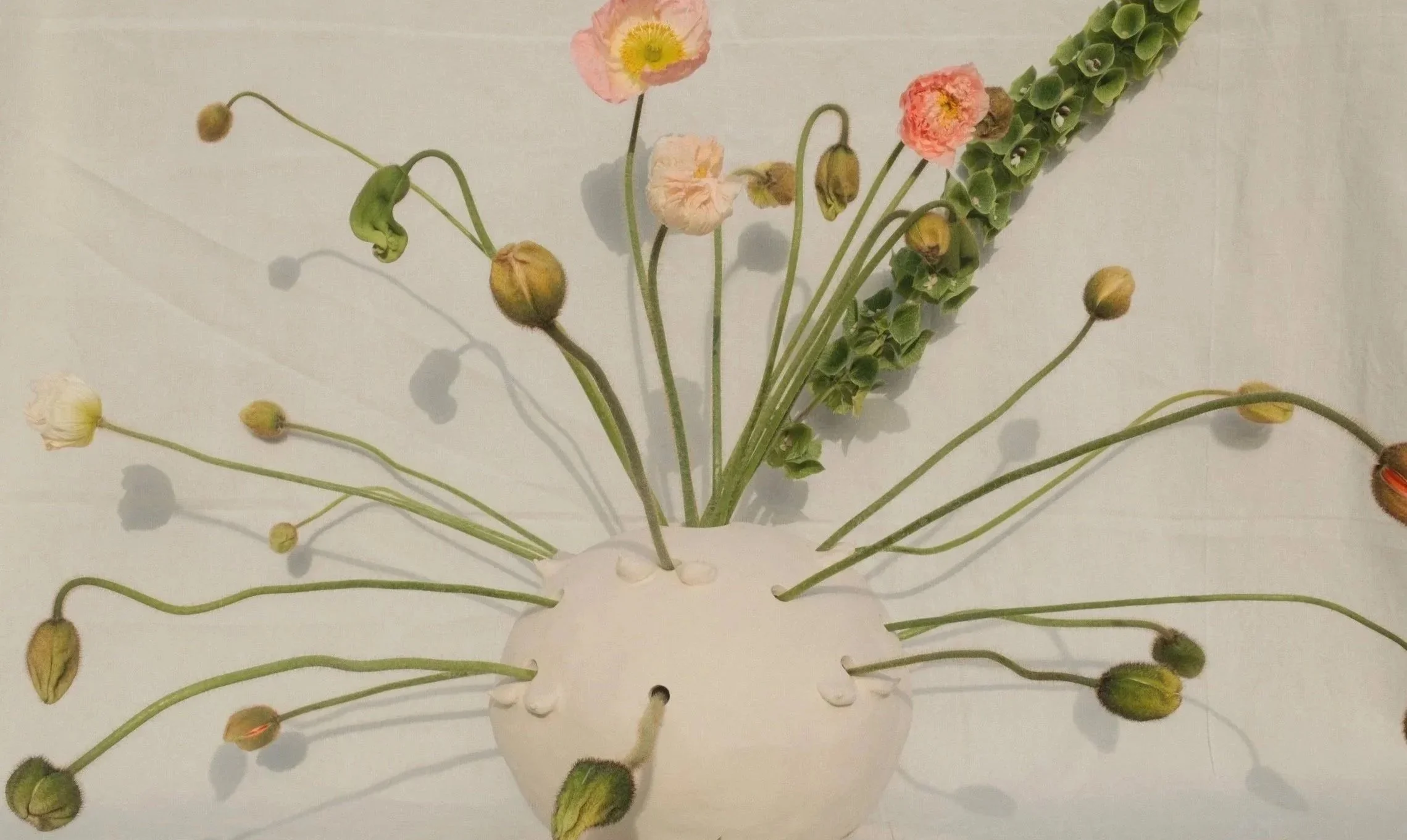 "Follicular V(ph)ase", 2026 