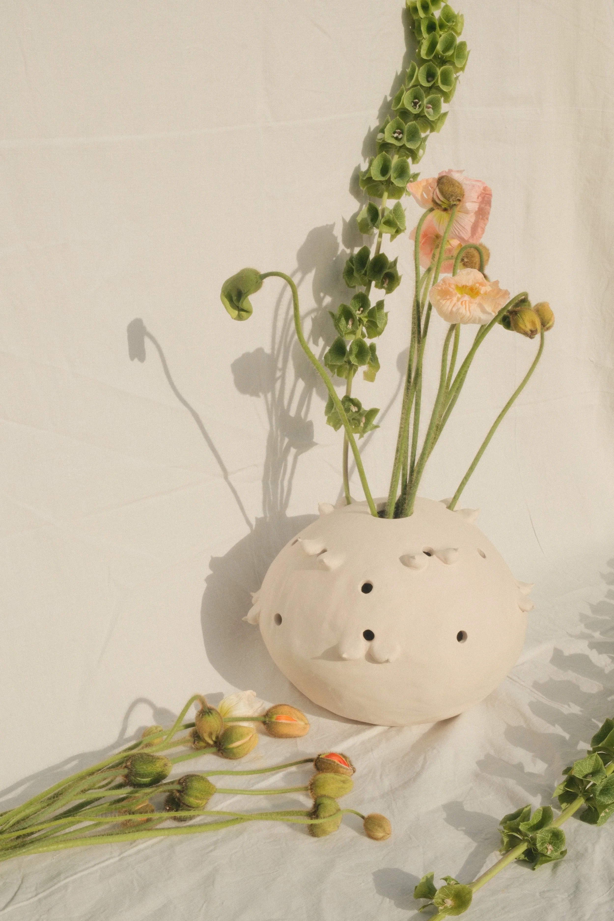 "Follicular V(ph)ase", 2026 