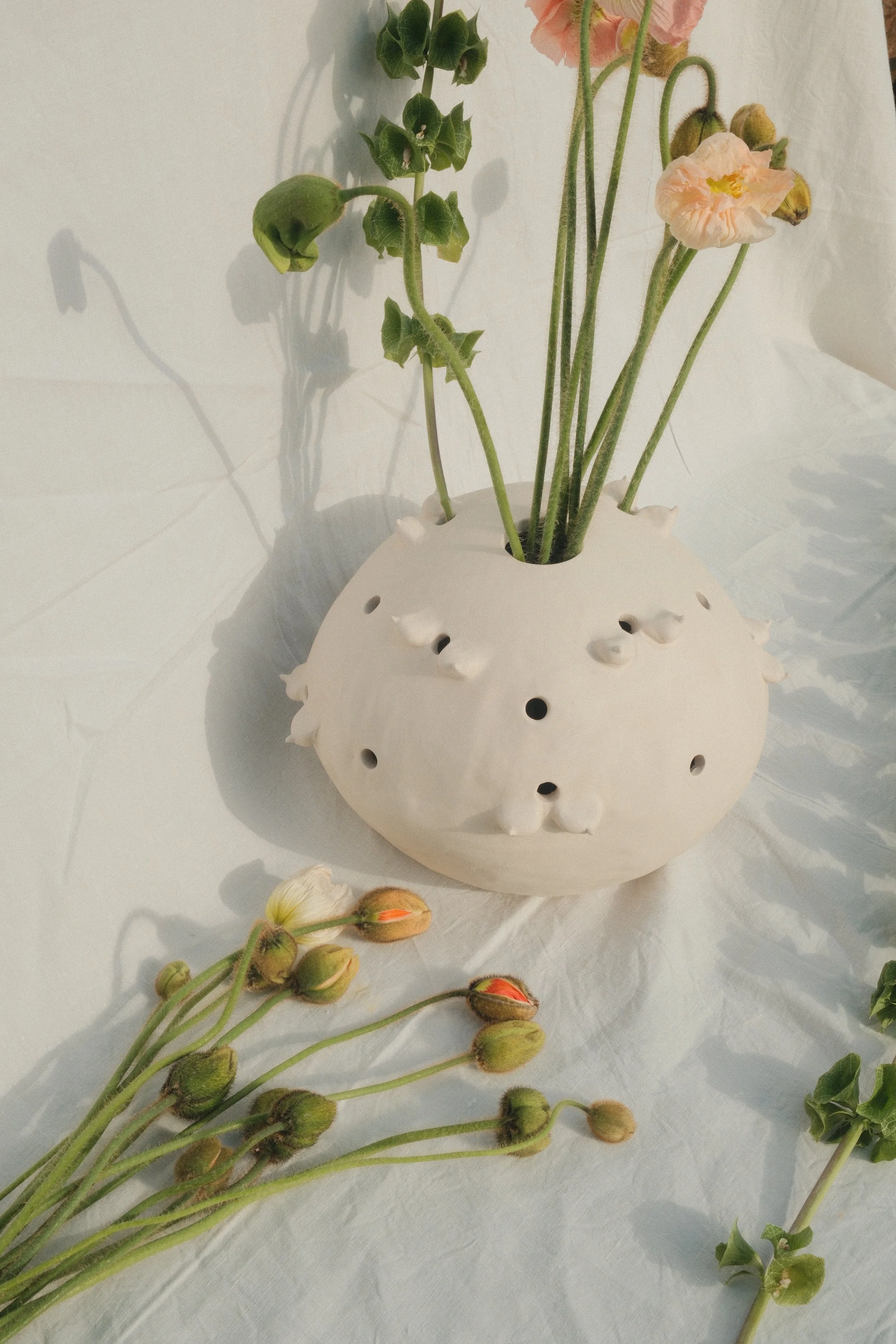 "Follicular V(ph)ase", 2026 