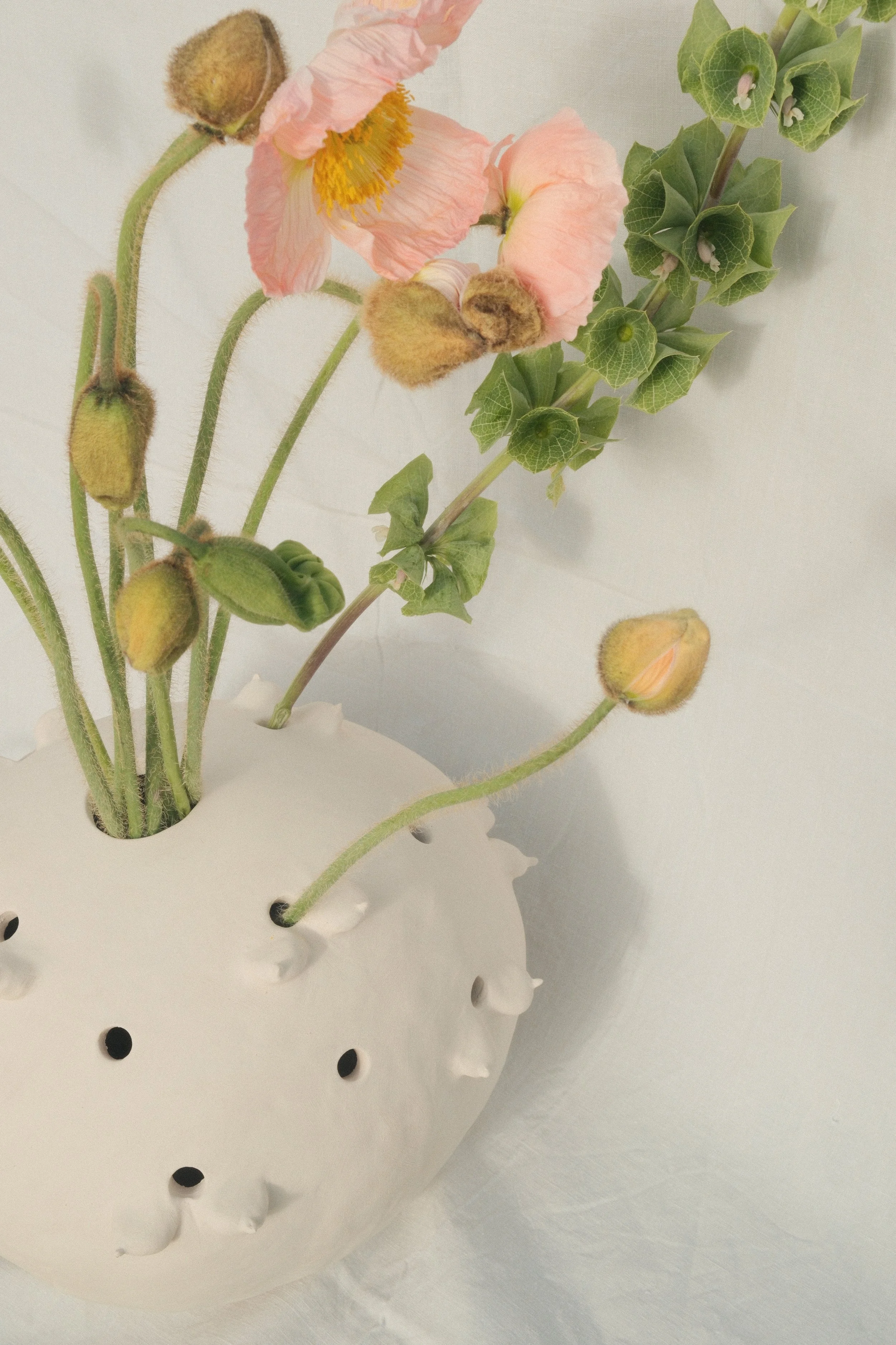 "Follicular V(ph)ase", 2026 