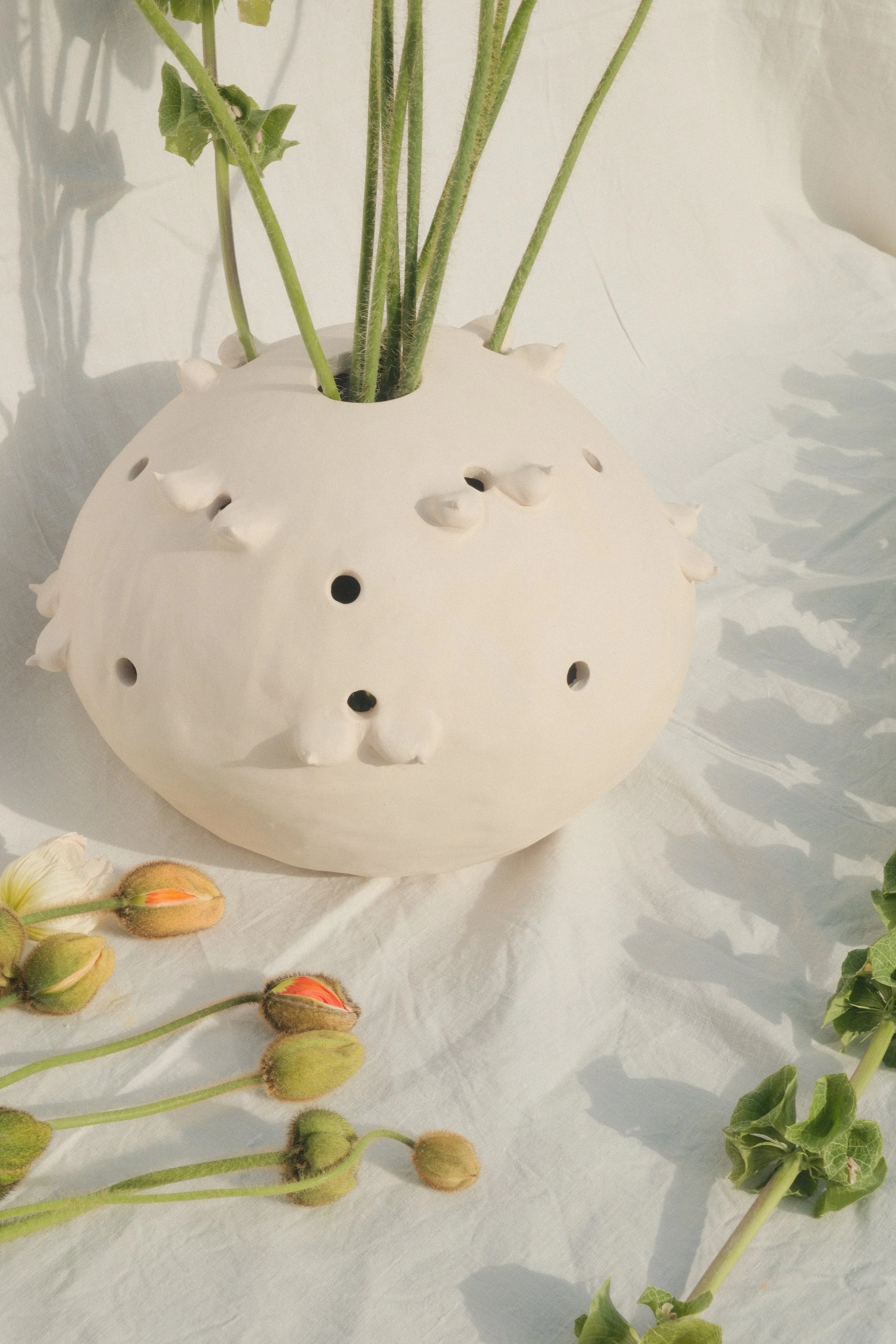 "Follicular V(ph)ase", 2026 