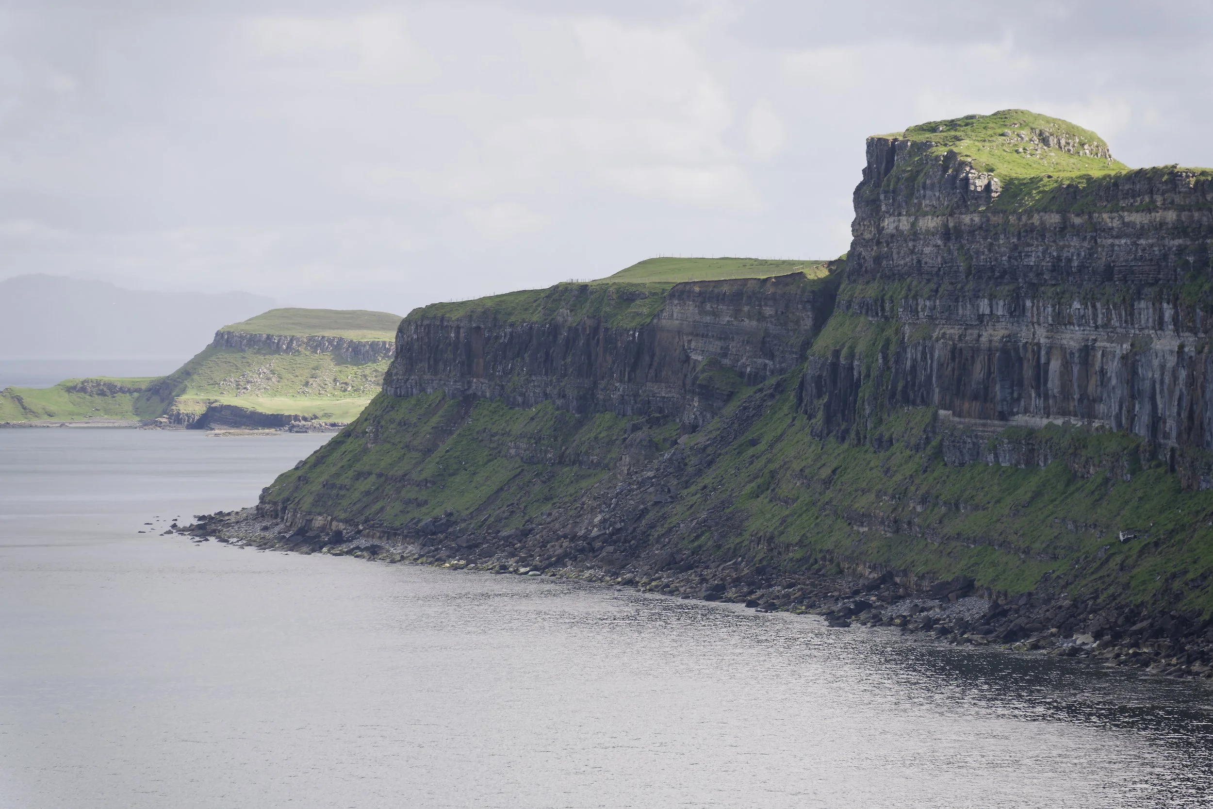 _DSC7988.jpg